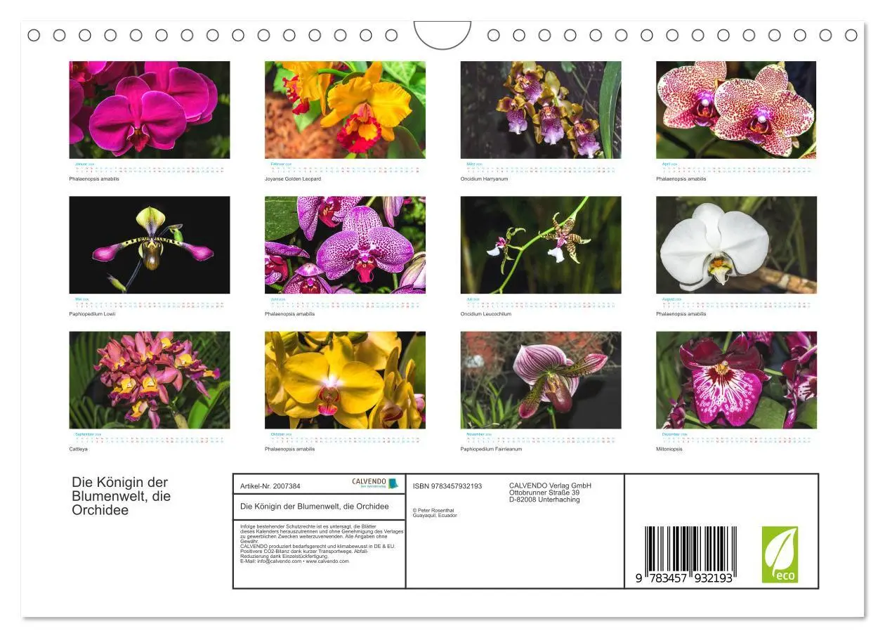Bild: 9783457932193 | Die Königin der Blumenwelt, die Orchidee (Wandkalender 2026 DIN A4...