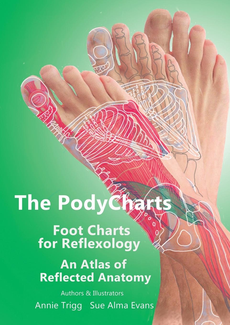 Cover: 9781789632293 | The PodyCharts Foot Charts for Reflexology | Annie Trigg (u. a.)