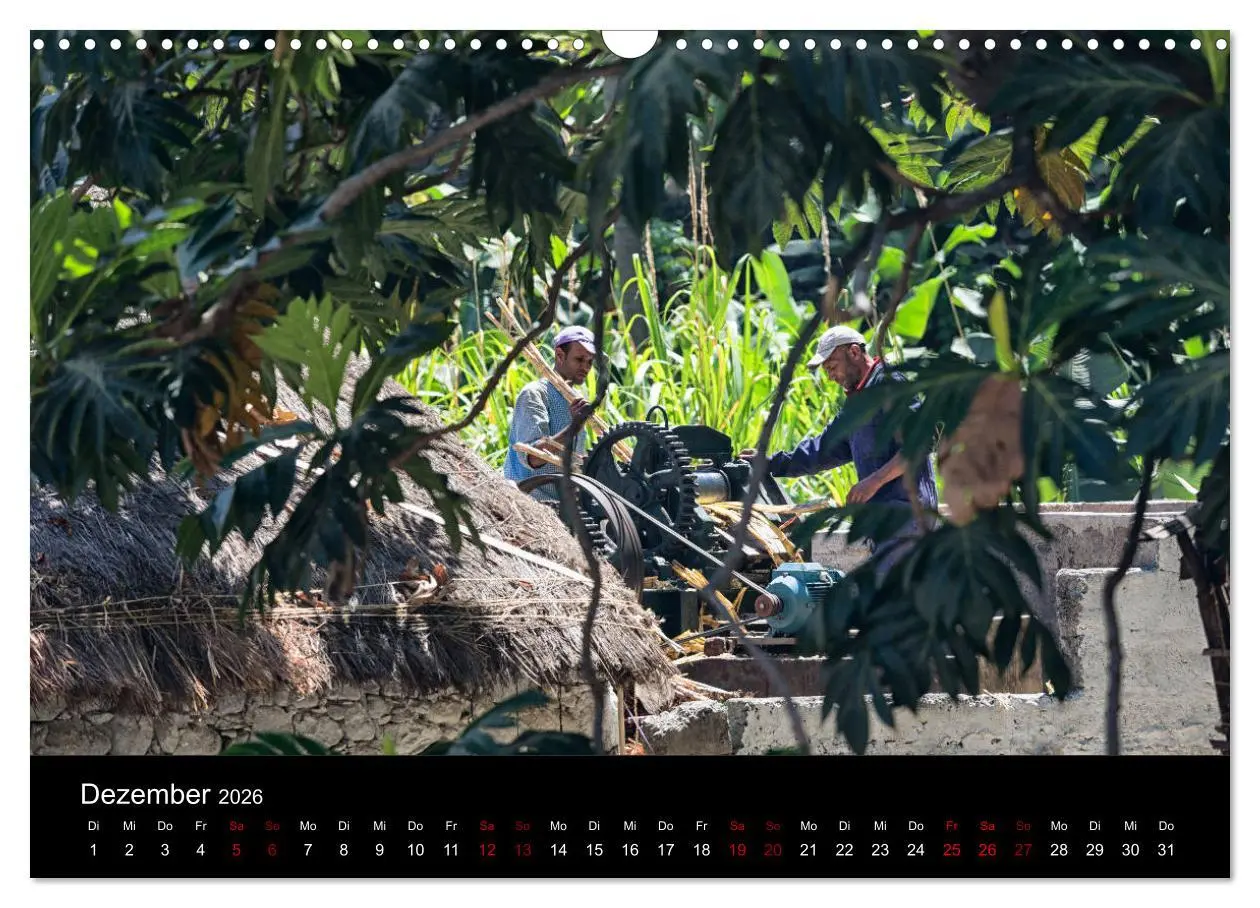 Bild: 9783457852293 | Santo Antao, Perle der Kapverden (Wandkalender 2026 DIN A3 quer),...
