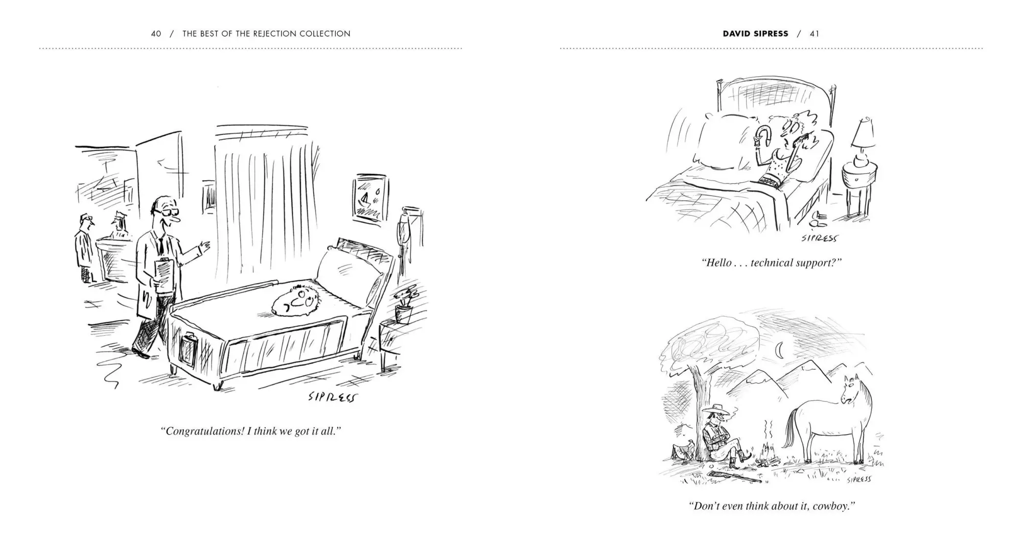 Bild: 9781523512393 | The Best of the Rejection Collection | Matthew Diffee | Taschenbuch