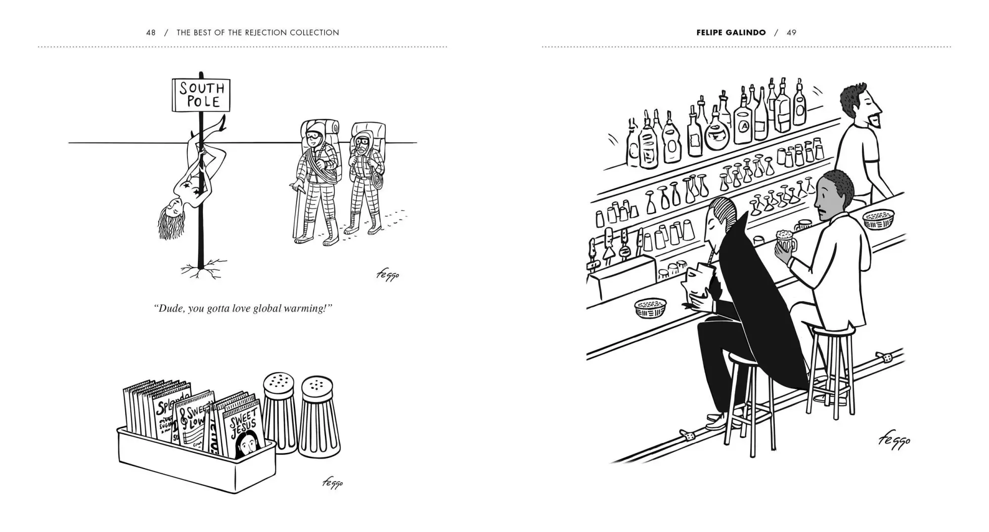 Bild: 9781523512393 | The Best of the Rejection Collection | Matthew Diffee | Taschenbuch