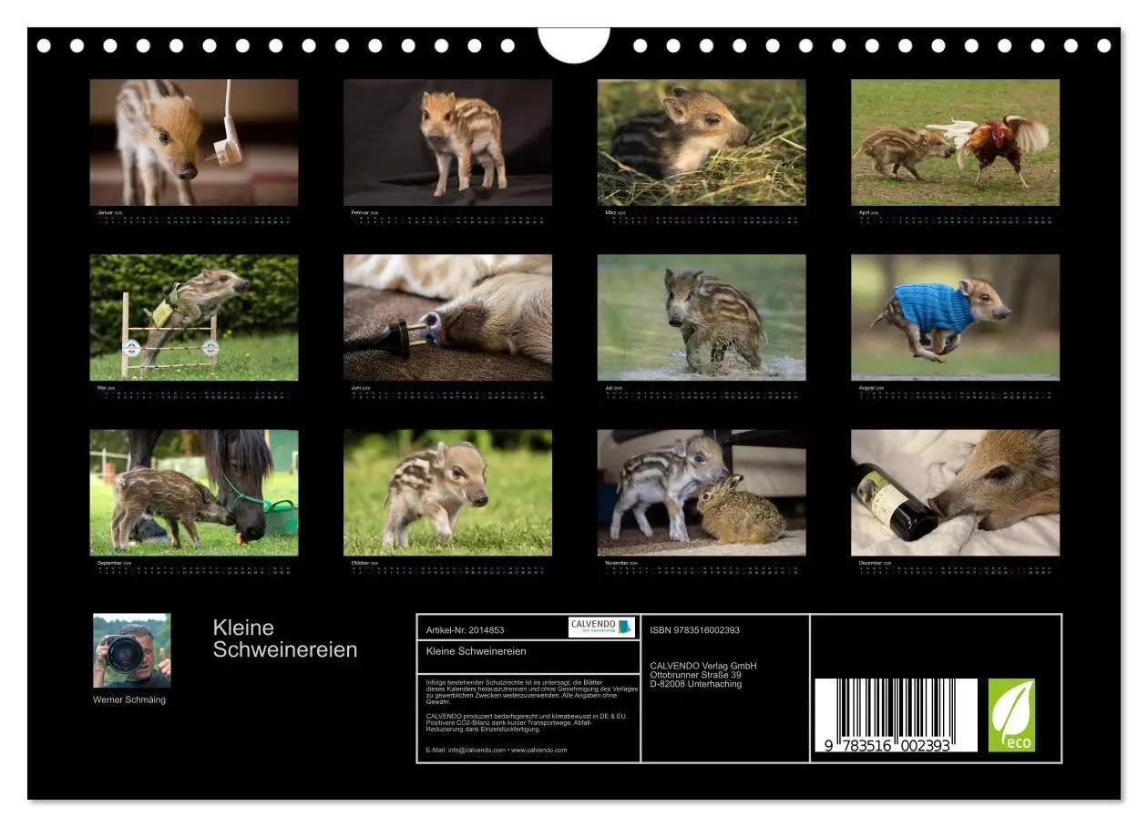Bild: 9783516002393 | Kleine Schweinereien (Wandkalender 2026 DIN A4 quer), CALVENDO...