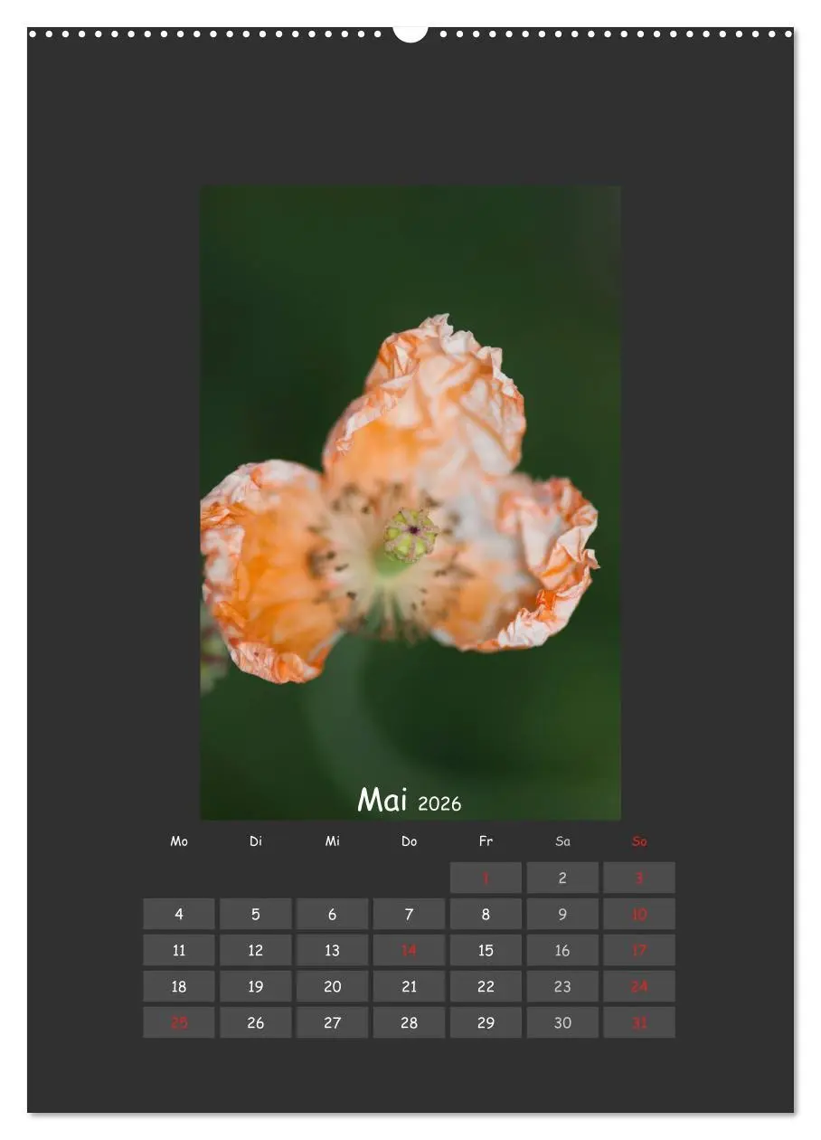 Bild: 9783516482393 | Mohn (hochwertiger Premium Wandkalender 2026 DIN A2 hoch),...
