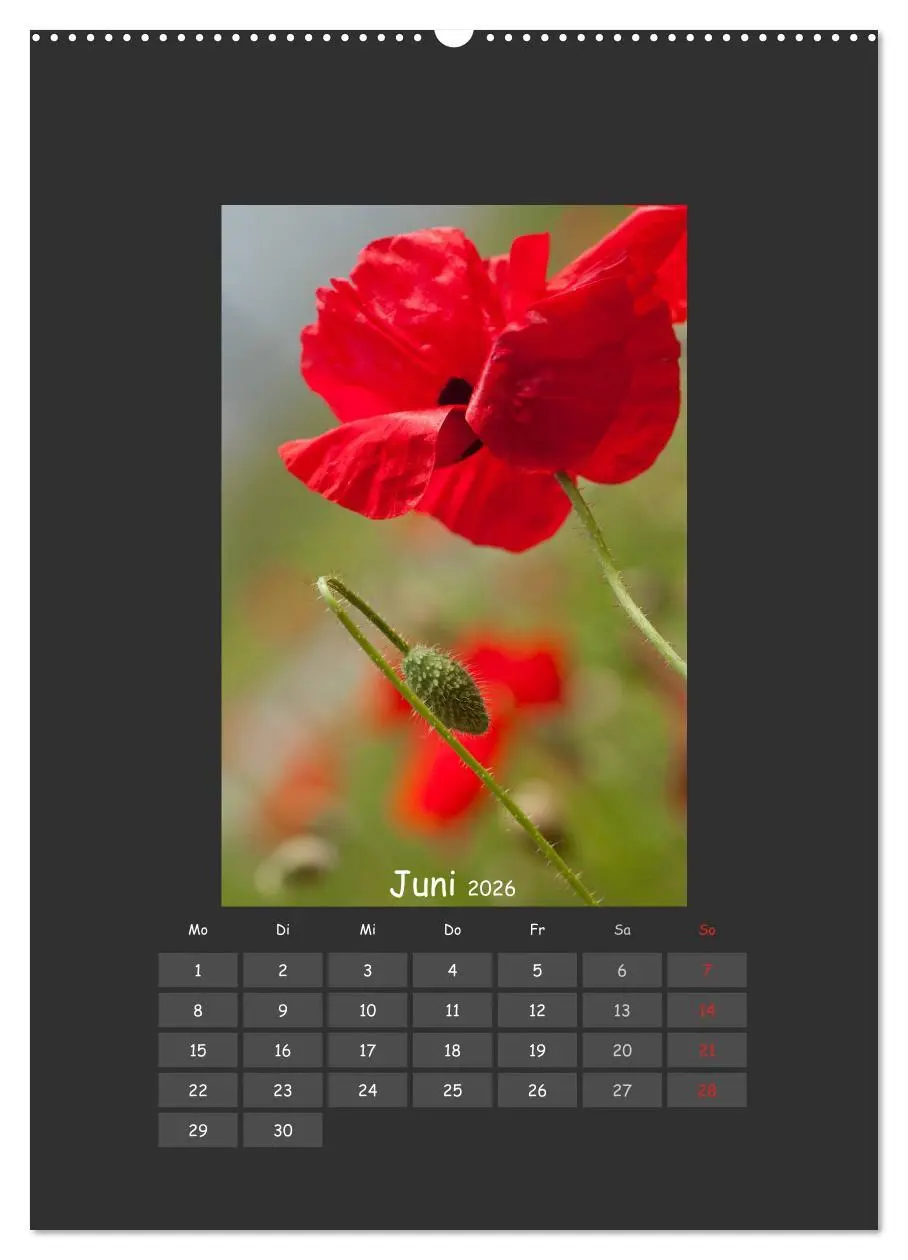 Bild: 9783516482393 | Mohn (hochwertiger Premium Wandkalender 2026 DIN A2 hoch),...