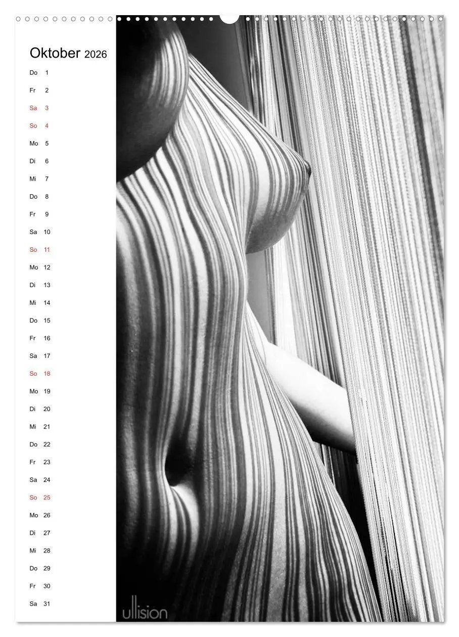 Bild: 9783516472493 | Akt abstrakt (hochwertiger Premium Wandkalender 2026 DIN A2 hoch),...