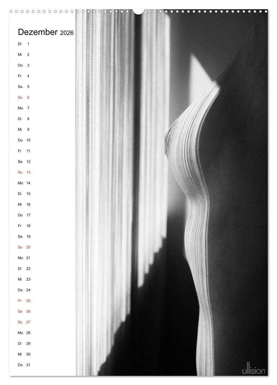 Bild: 9783516472493 | Akt abstrakt (hochwertiger Premium Wandkalender 2026 DIN A2 hoch),...