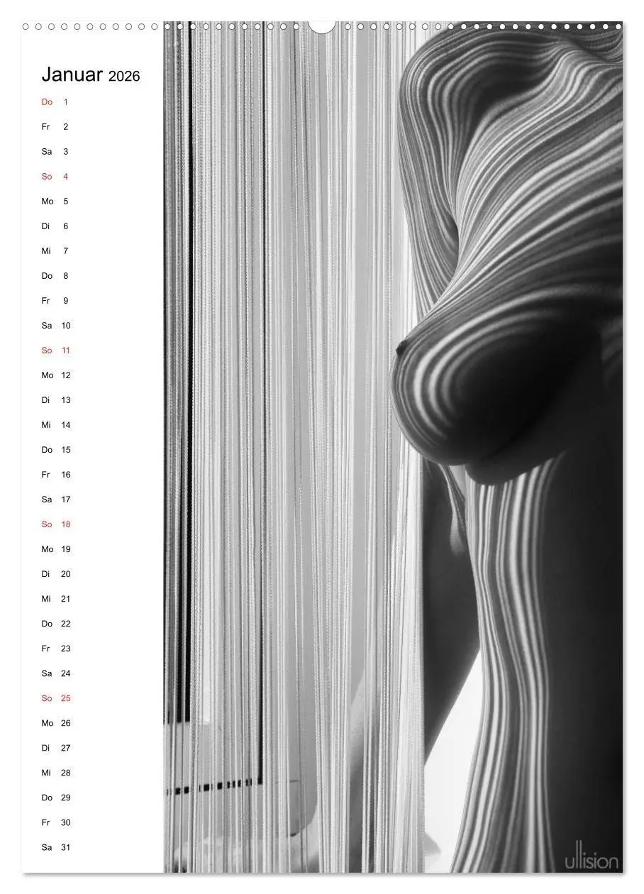 Bild: 9783516472493 | Akt abstrakt (hochwertiger Premium Wandkalender 2026 DIN A2 hoch),...