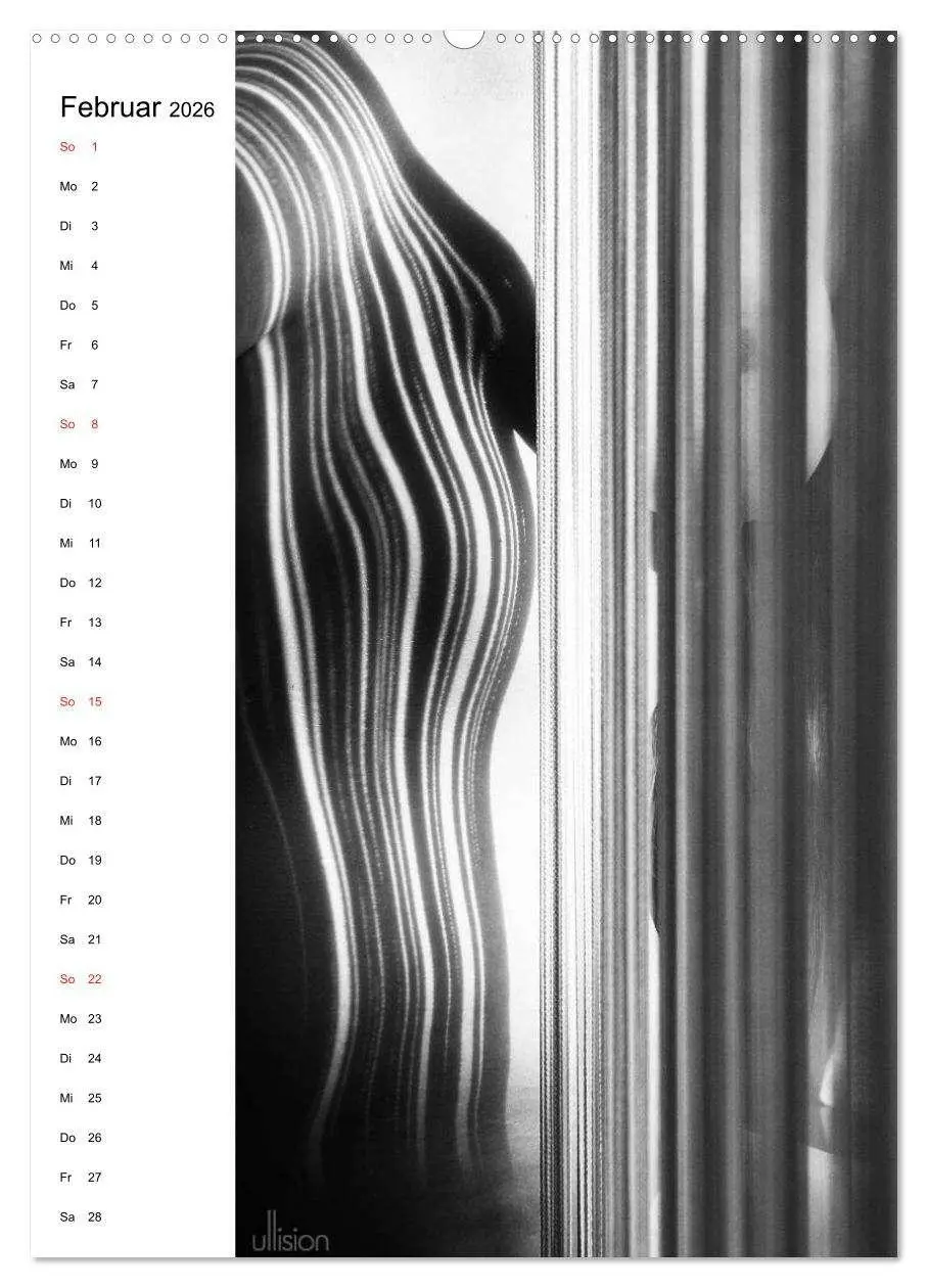 Bild: 9783516472493 | Akt abstrakt (hochwertiger Premium Wandkalender 2026 DIN A2 hoch),...