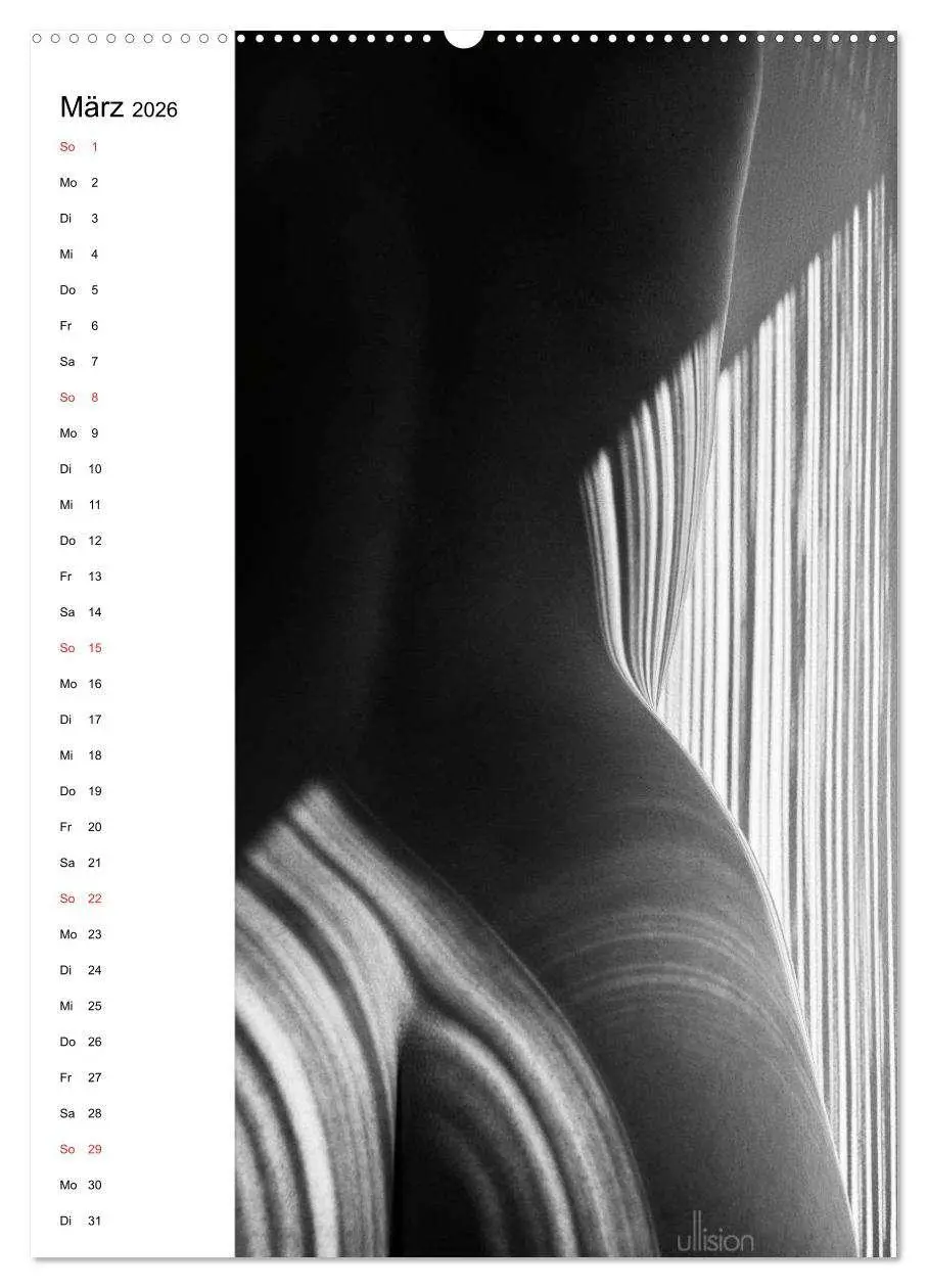 Bild: 9783516472493 | Akt abstrakt (hochwertiger Premium Wandkalender 2026 DIN A2 hoch),...