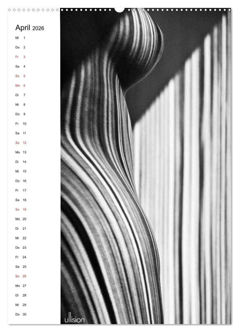 Bild: 9783516472493 | Akt abstrakt (hochwertiger Premium Wandkalender 2026 DIN A2 hoch),...