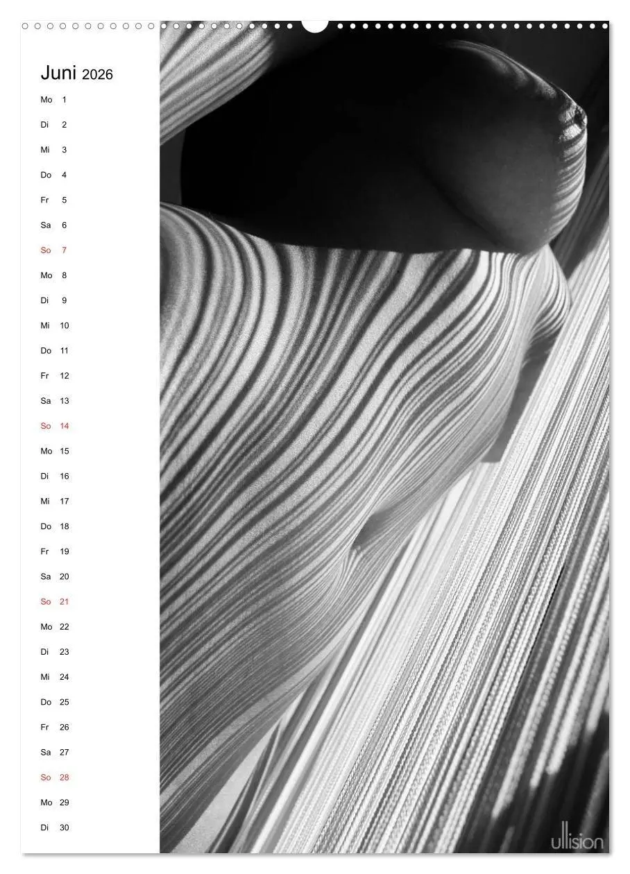 Bild: 9783516472493 | Akt abstrakt (hochwertiger Premium Wandkalender 2026 DIN A2 hoch),...