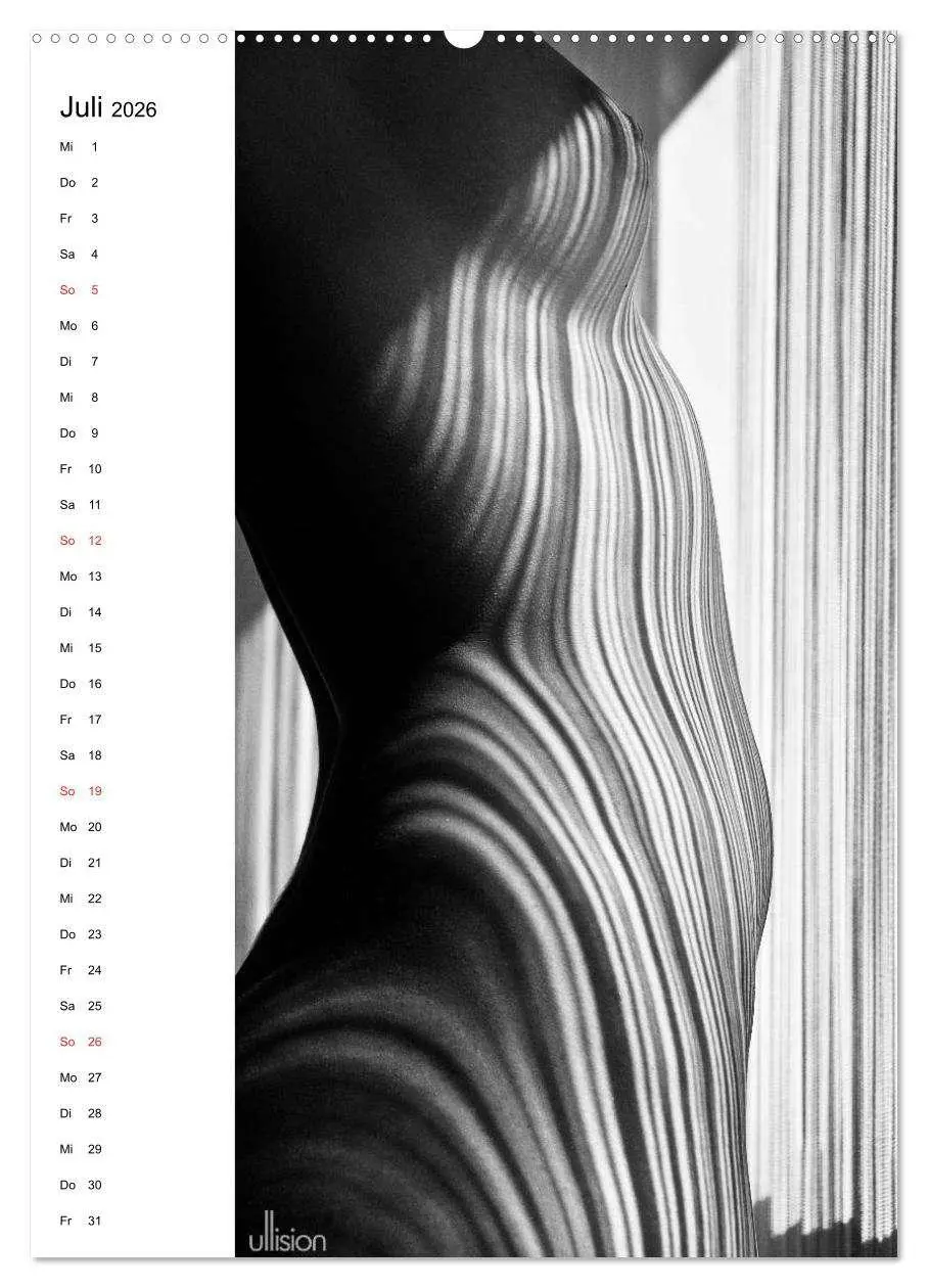 Bild: 9783516472493 | Akt abstrakt (hochwertiger Premium Wandkalender 2026 DIN A2 hoch),...