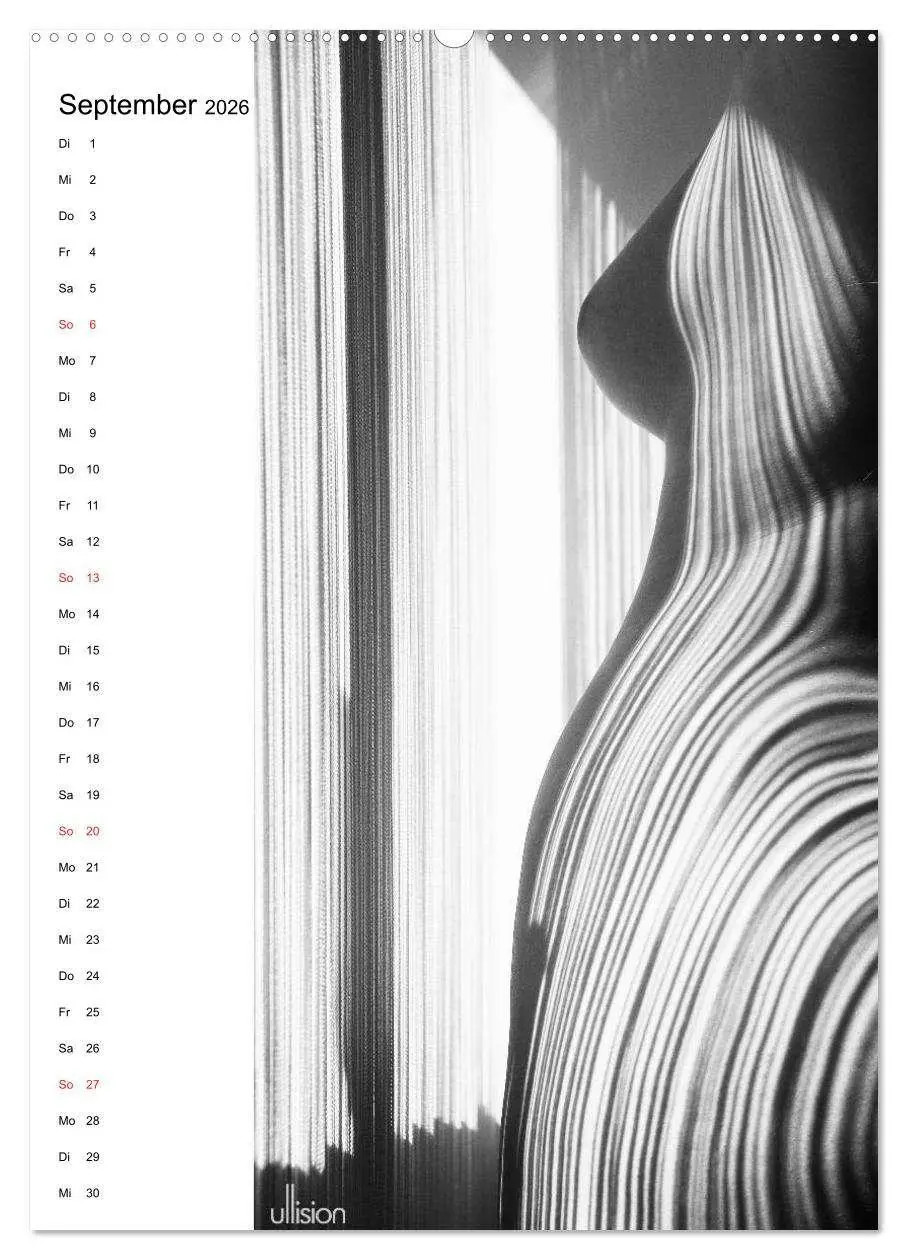 Bild: 9783516472493 | Akt abstrakt (hochwertiger Premium Wandkalender 2026 DIN A2 hoch),...