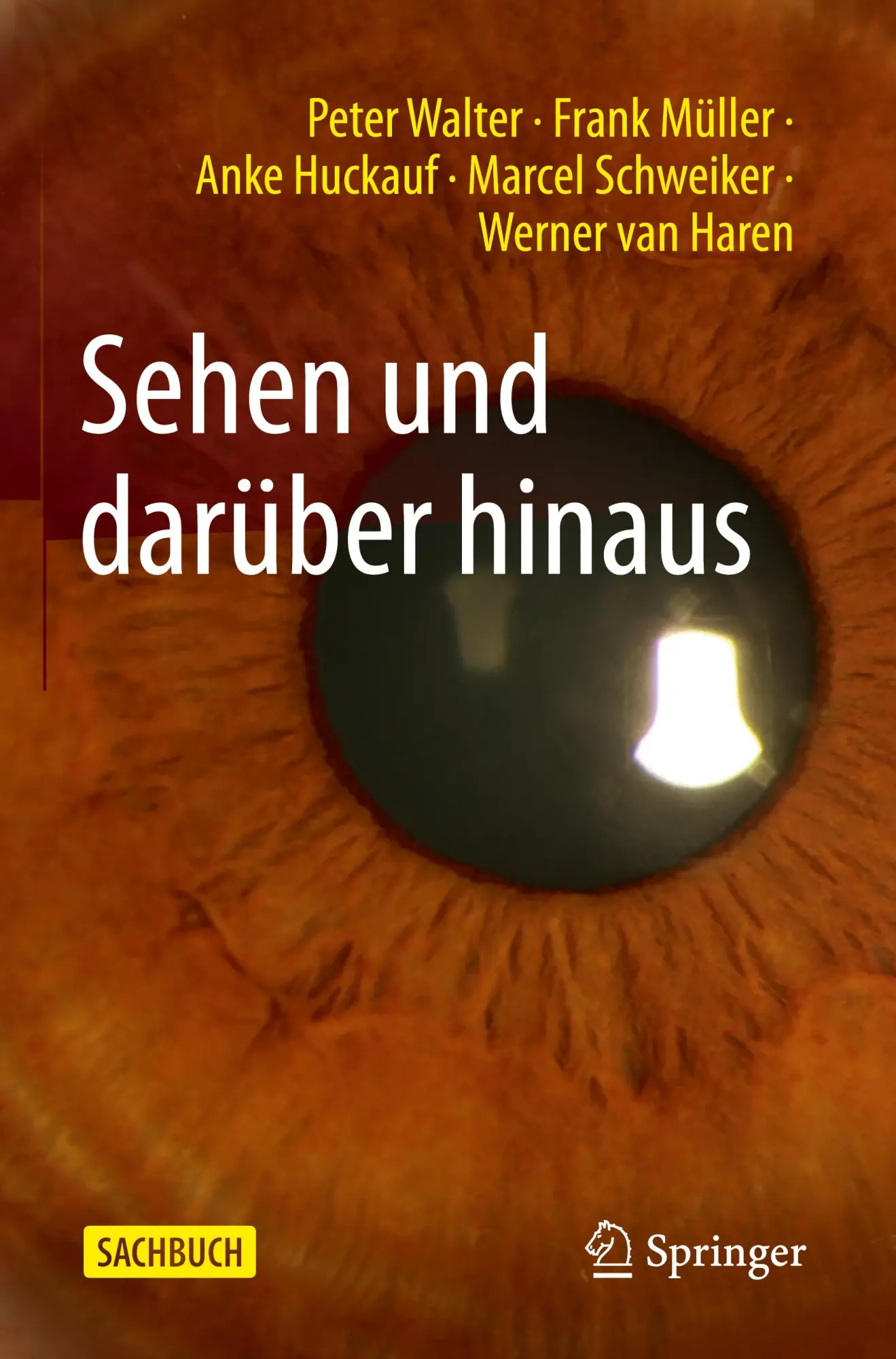 Cover: 9783662692493 | Sehen und darüber hinaus | Peter Walter (u. a.) | Taschenbuch | xvii