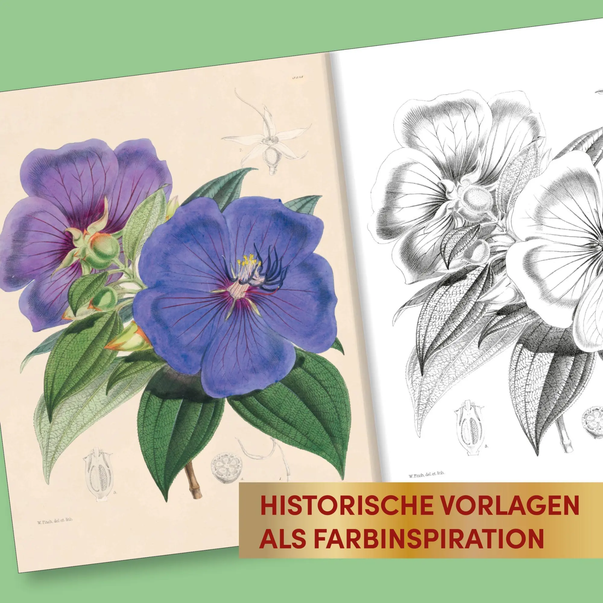 Bild: 9783735882493 | Kew Gardens - Florale Ausmalträume | Kew Gardens | Buch | 192 S.