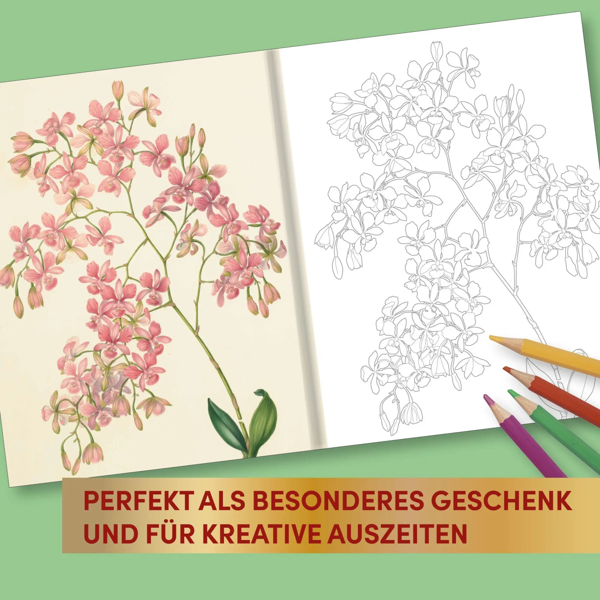 Bild: 9783735882493 | Kew Gardens - Florale Ausmalträume | Kew Gardens | Buch | 192 S.