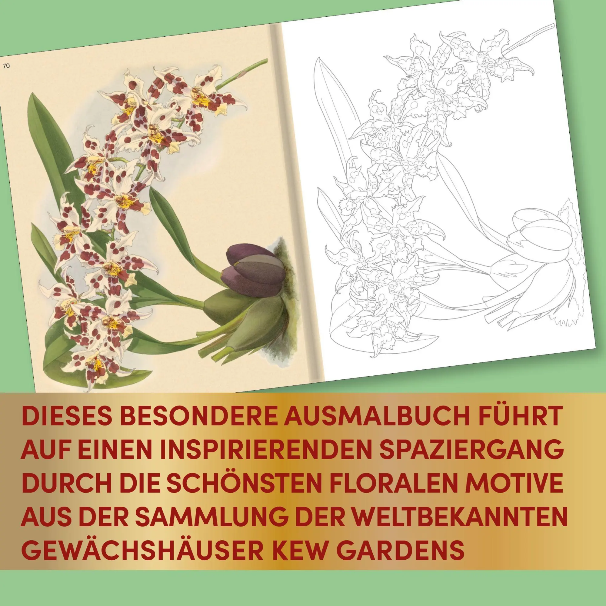 Bild: 9783735882493 | Kew Gardens - Florale Ausmalträume | Kew Gardens | Buch | 192 S.