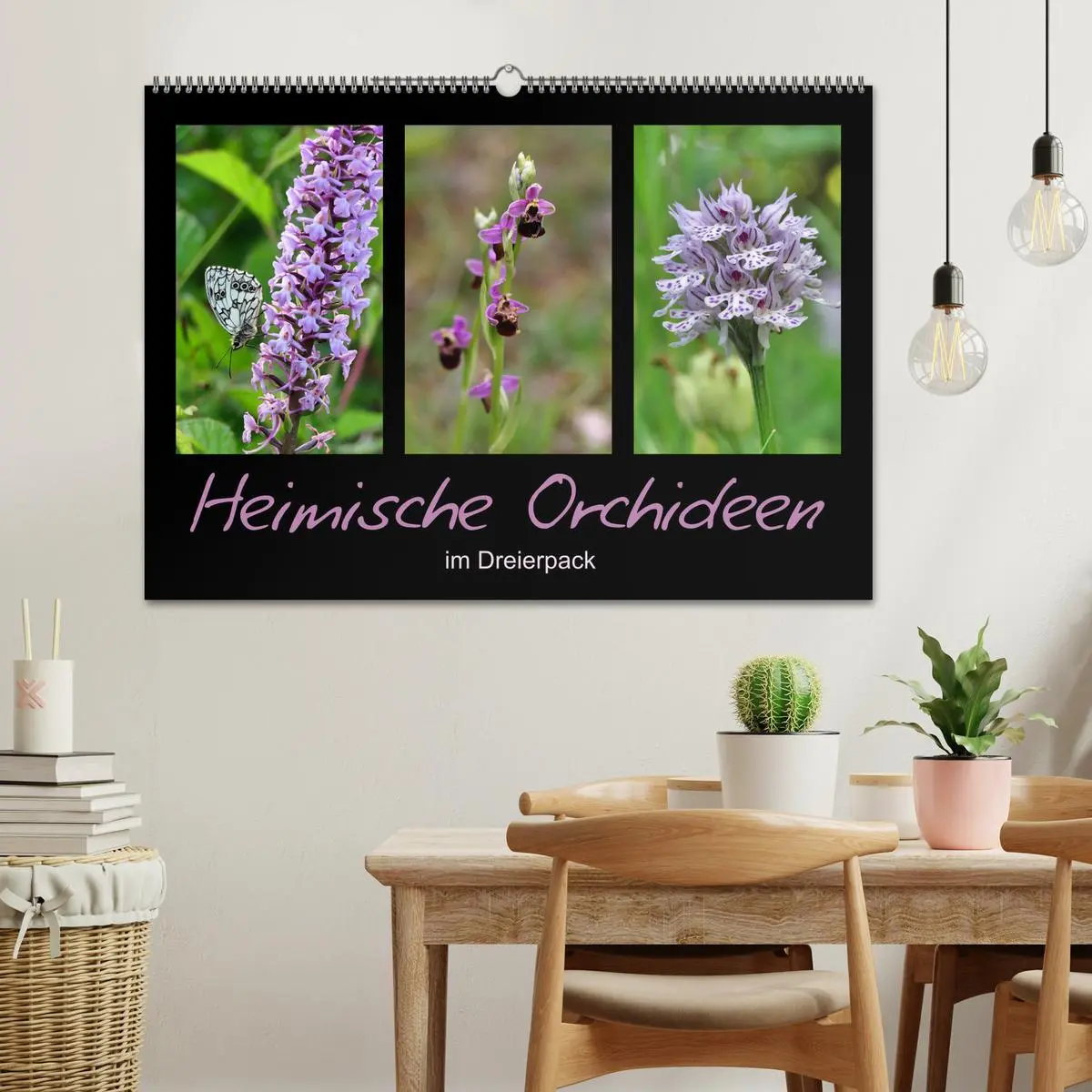 Bild: 9783457752593 | Heimische Orchideen im Dreierpack (Wandkalender 2026 DIN A2 quer),...