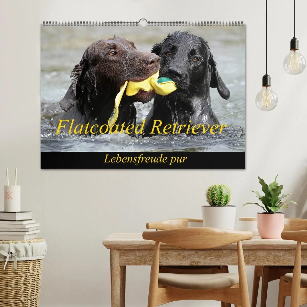 Bild: 9783516152593 | Flatcoated Retriever (Wandkalender 2026 DIN A2 quer), CALVENDO...