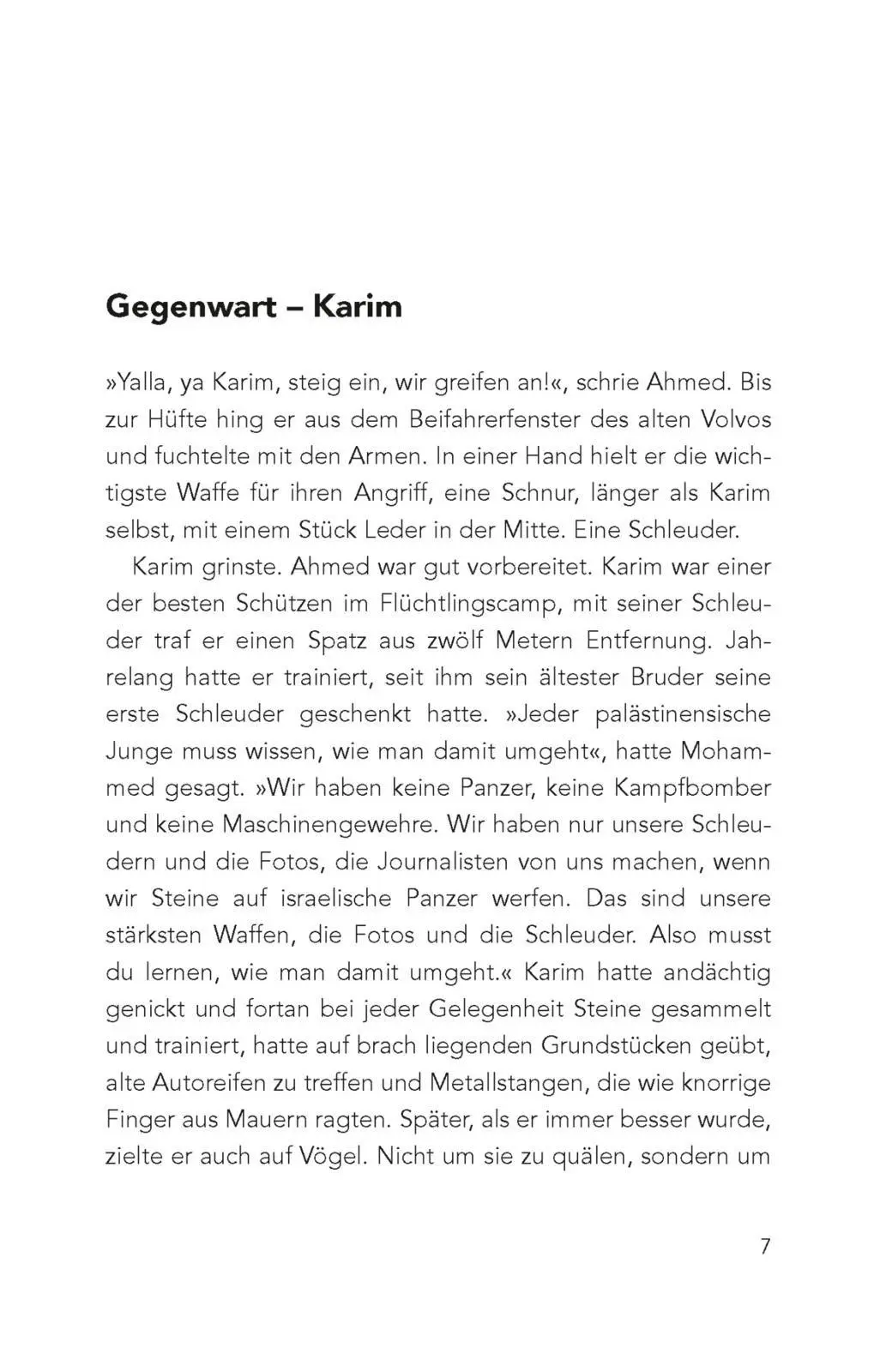Bild: 9783551322593 | Über den Dächern von Jerusalem | Anja Reumschüssel | Taschenbuch