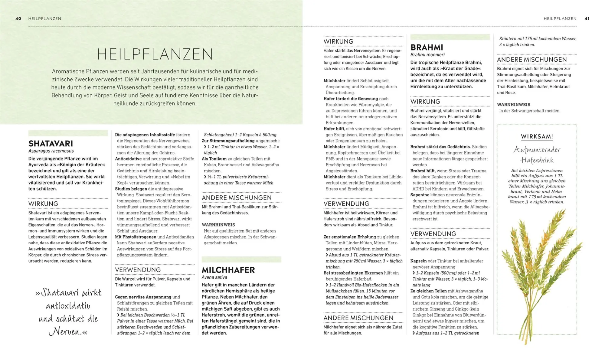 Bild: 9783831042593 | Die kleine Hausapotheke für Körper &amp; Geist | DK Verlag | Buch | 192 S.