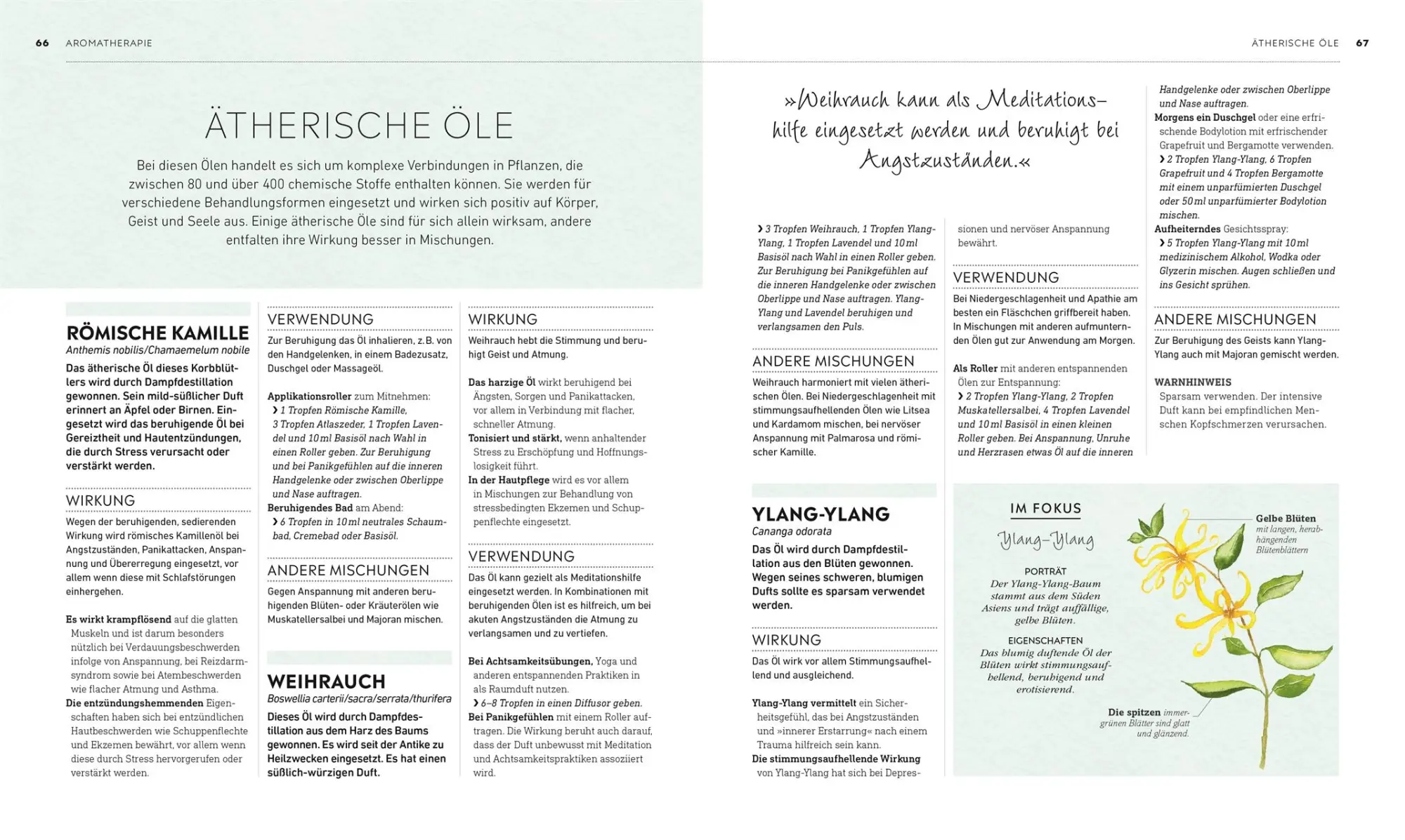 Bild: 9783831042593 | Die kleine Hausapotheke für Körper &amp; Geist | DK Verlag | Buch | 192 S.