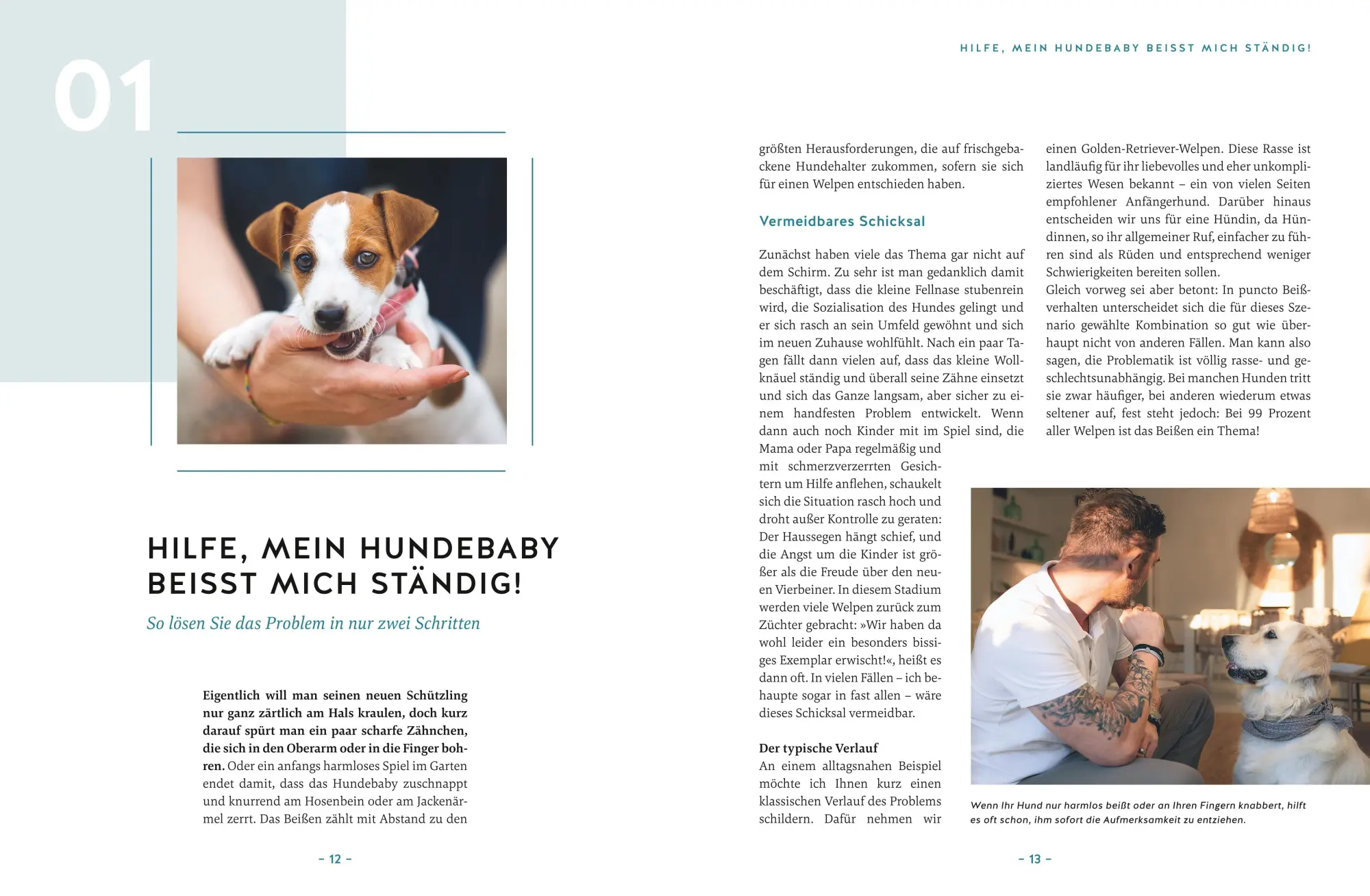Bild: 9783833882593 | Hilfe, mein Hund macht, was er will! | André Henkelmann | Buch | 2023