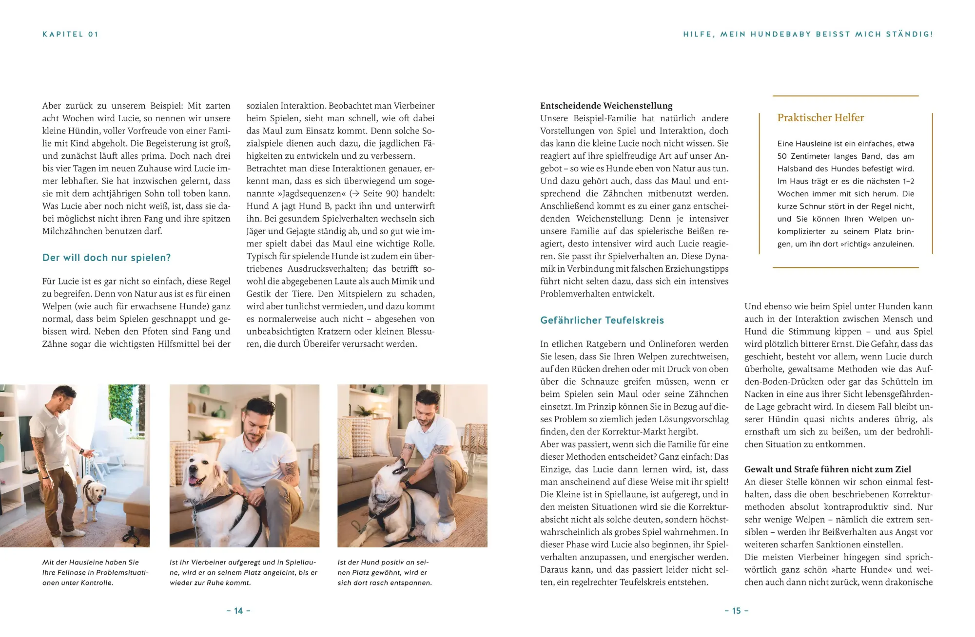 Bild: 9783833882593 | Hilfe, mein Hund macht, was er will! | André Henkelmann | Buch | 2023