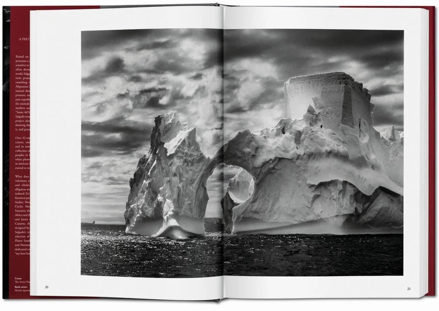 Bild: 9783836542593 | Sebastiao Salgado. Genesis | Trade Edition | Lélia Wanick Salgado