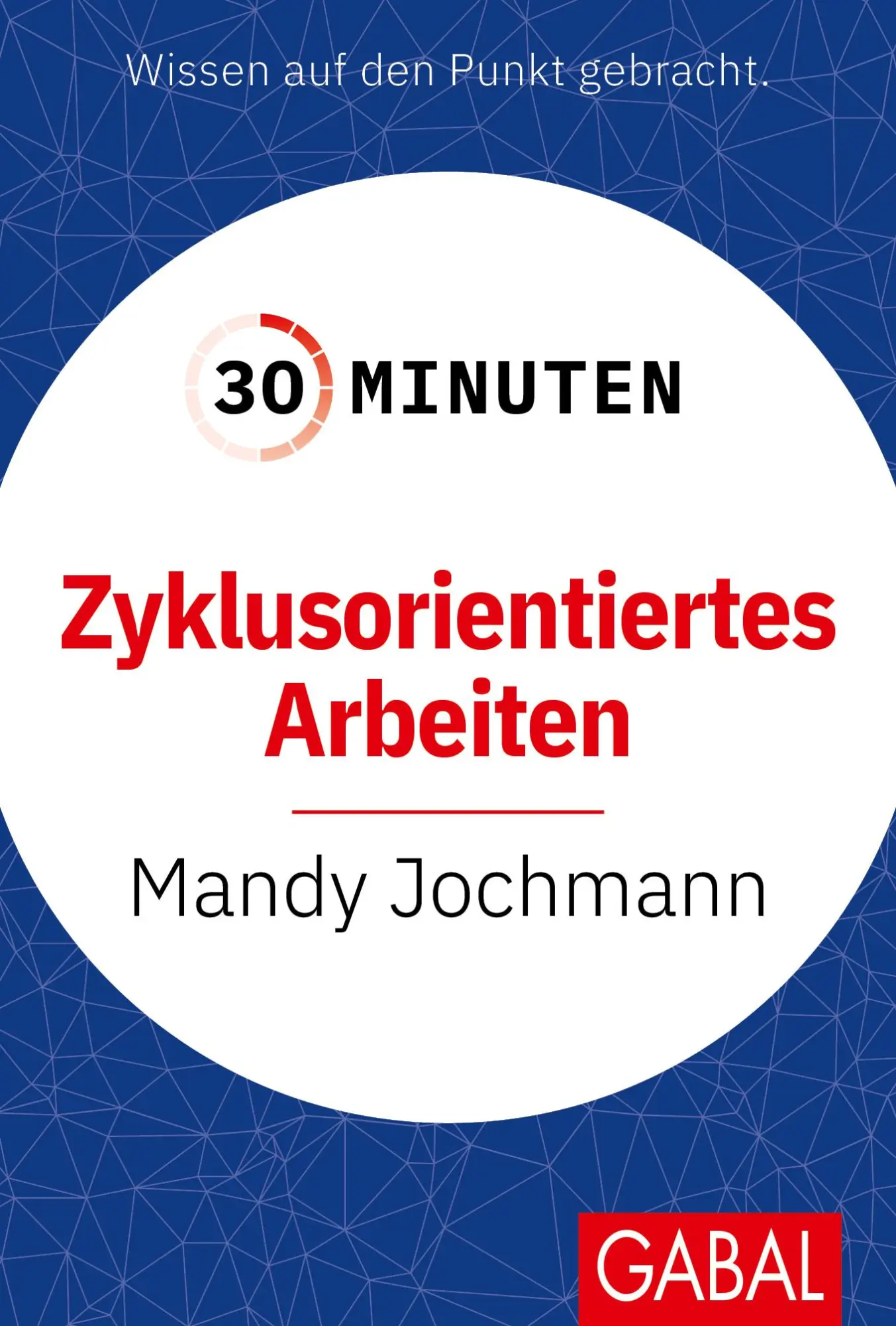 Cover: 9783967392593 | 30 Minuten Zyklusorientiertes Arbeiten | Mandy Jochmann | Taschenbuch