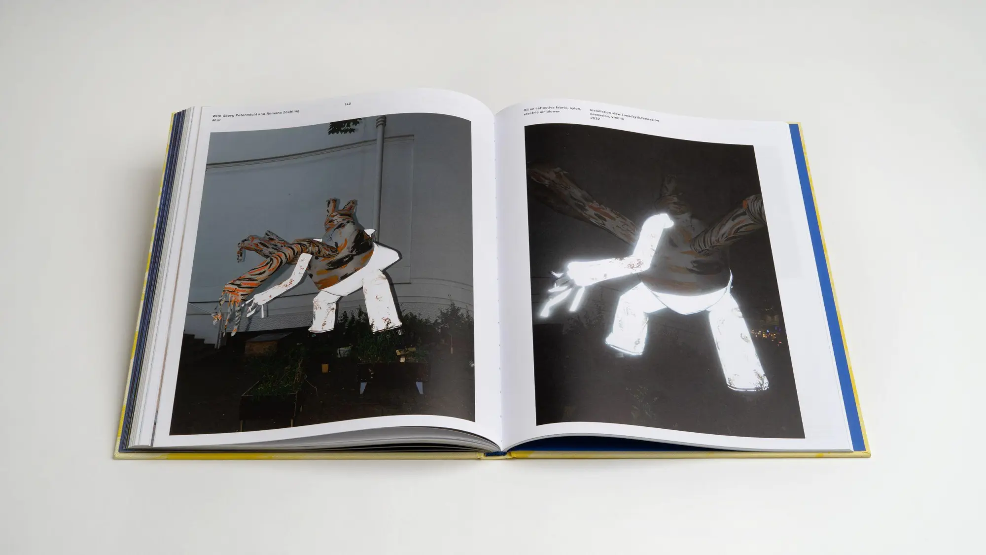 Bild: 9783969122693 | Stefan Reiterer: Inflection Point | Andrea Kopranovic (u. a.) | Buch