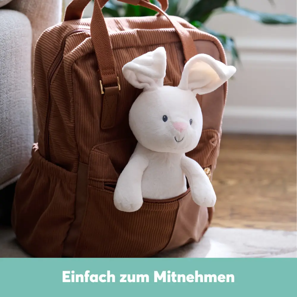 Bild: 681147082793 | GBB Guck-Guck Flora | Karton | 70827 | Deutsch | 2025 | Spin Master
