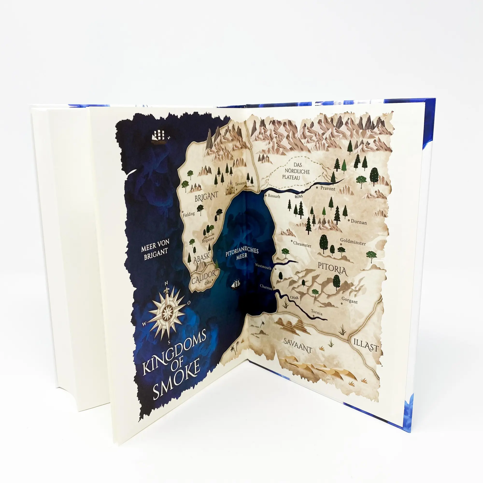 Bild: 9783423762793 | Kingdoms of Smoke 2 - Dämonenzorn | Sally Green | Buch | 448 S. | 2020
