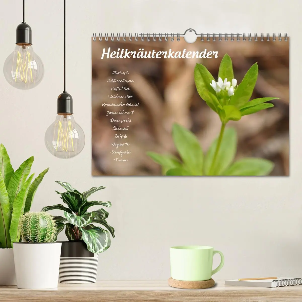 Bild: 9783516132793 | Heilkräuterkalender (Wandkalender 2026 DIN A4 quer), CALVENDO...