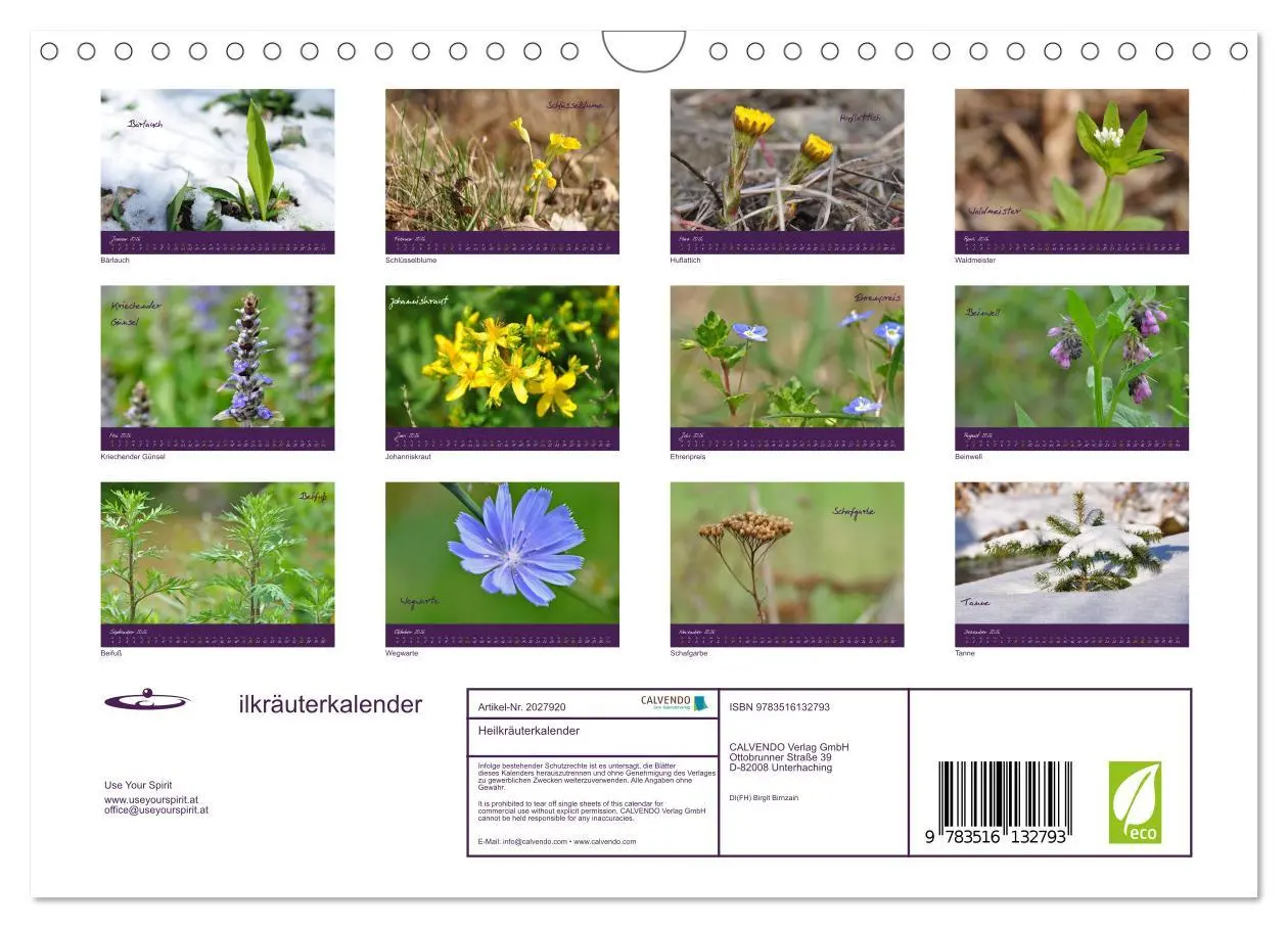 Bild: 9783516132793 | Heilkräuterkalender (Wandkalender 2026 DIN A4 quer), CALVENDO...