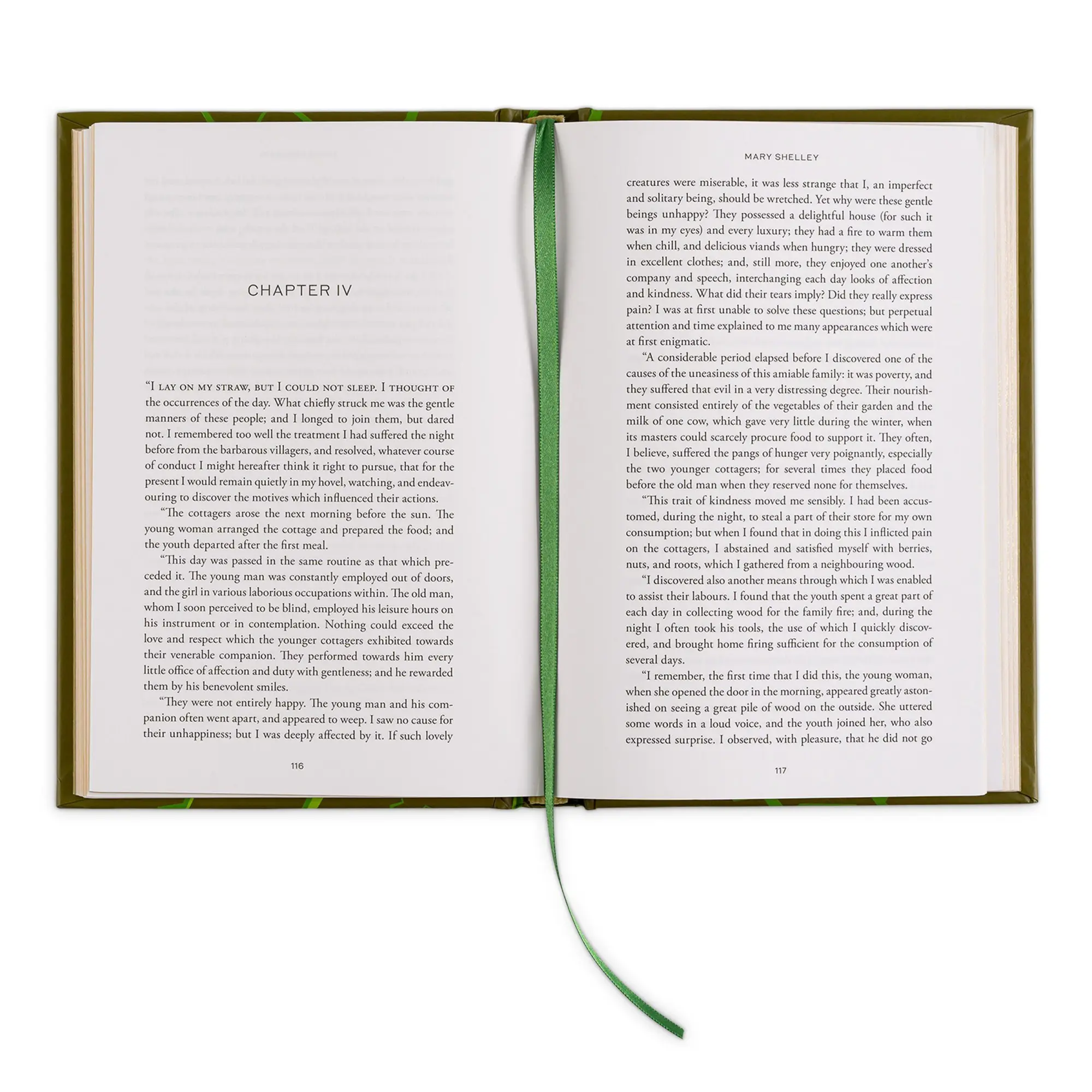 Bild: 9781454952893 | Frankenstein (Special Edition) | Mary Shelley | Buch | Englisch | 2024
