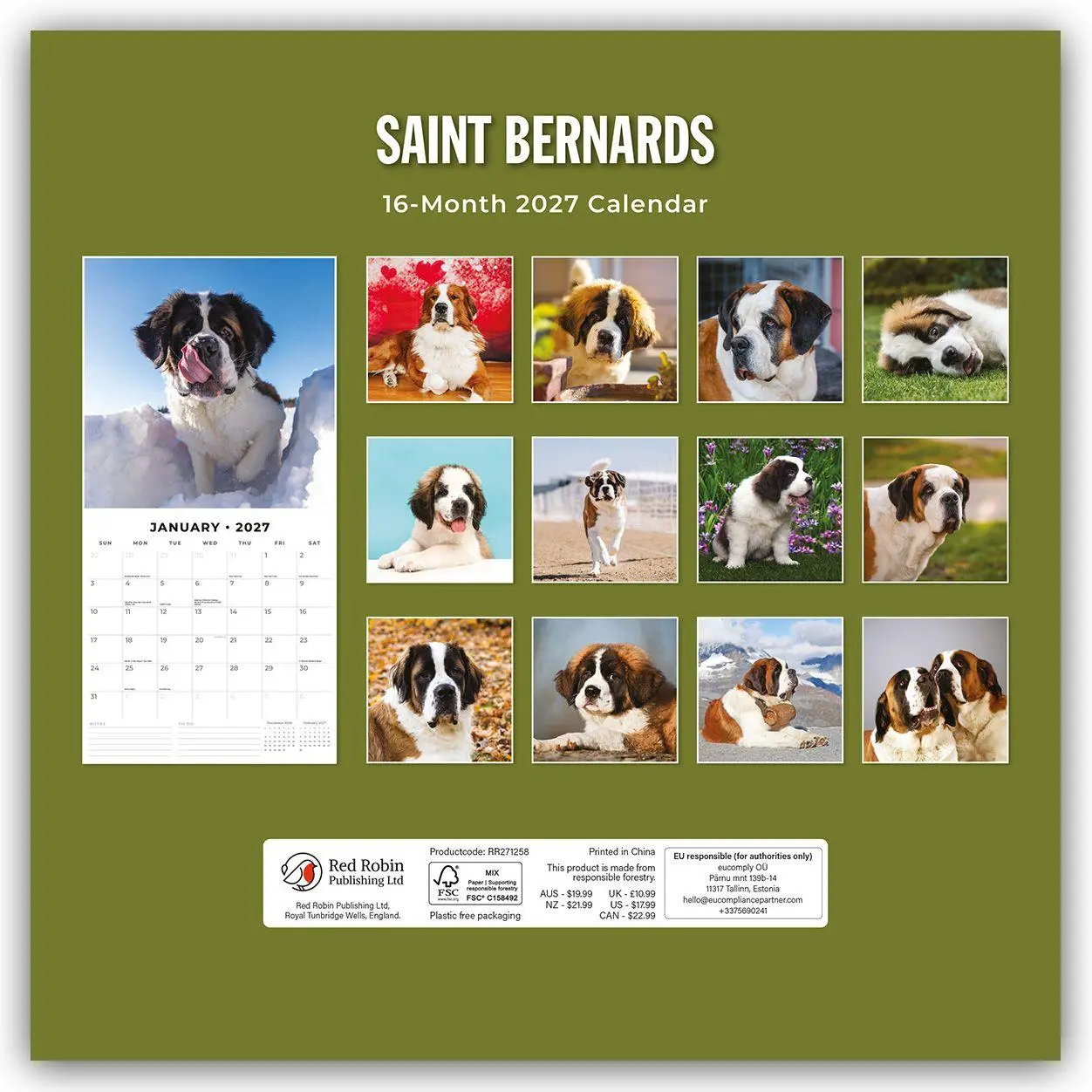 Rückseite: 9781837012893 | Saint Bernards - Bernhardiner 2027 - 16-Monatskalender | Robin Red