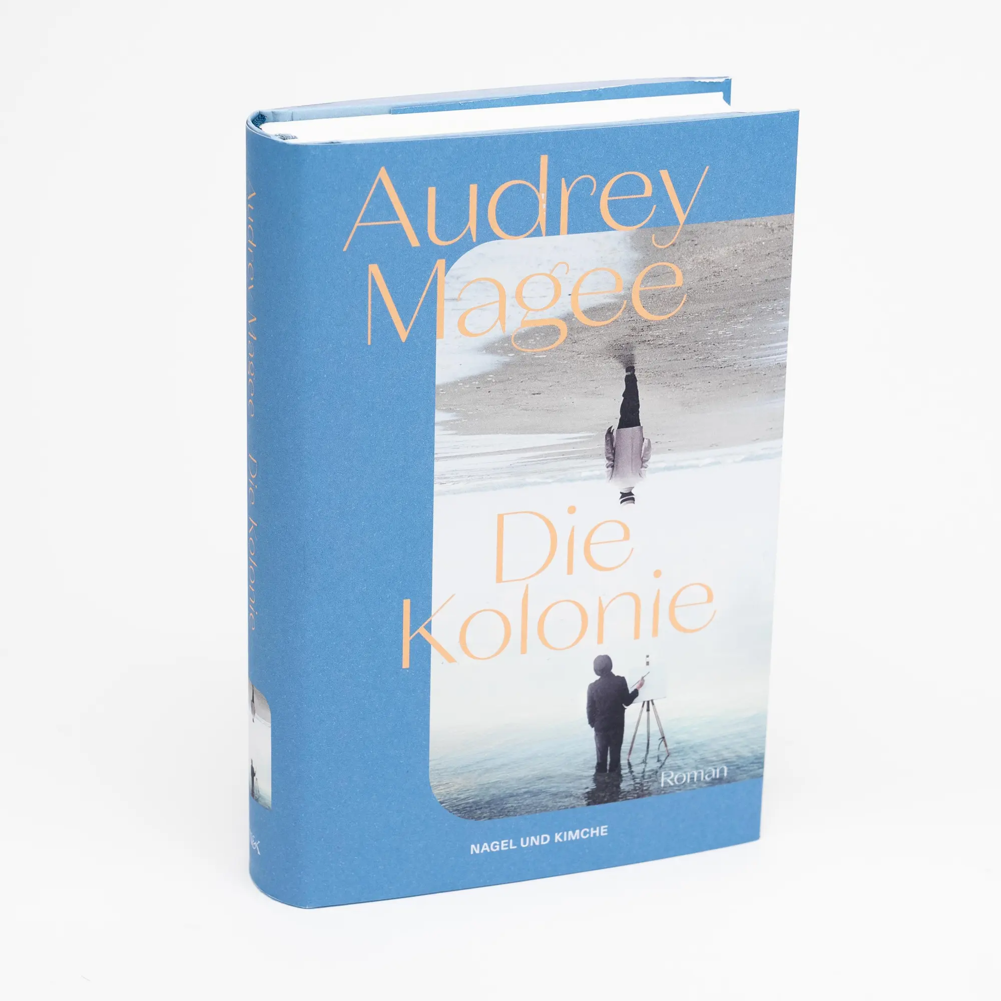 Bild: 9783312012893 | Die Kolonie | Audrey Magee | Buch | 400 S. | Deutsch | 2025