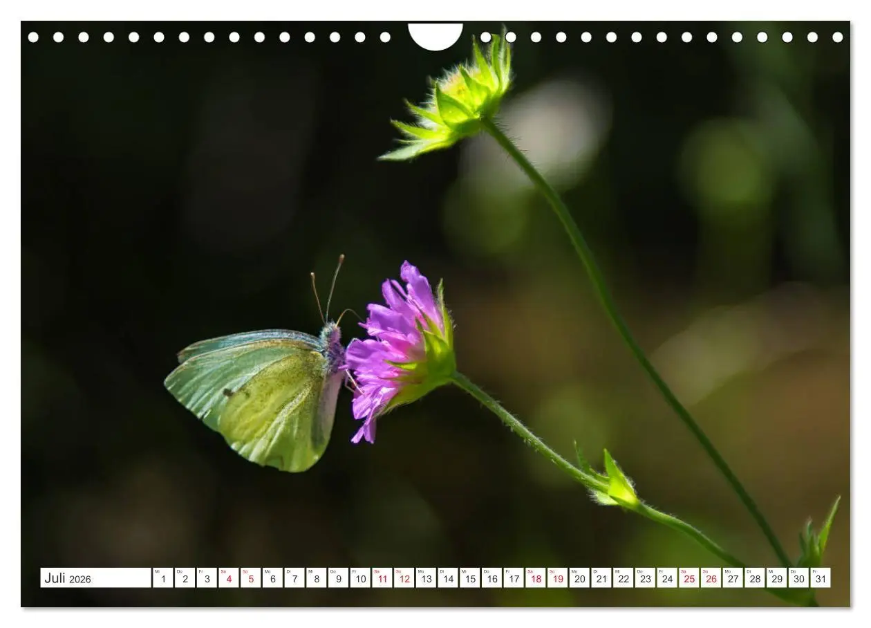 Bild: 9783457962893 | Slowakei - Die Schönheit der Tatra Gebirge (Wandkalender 2026 DIN...
