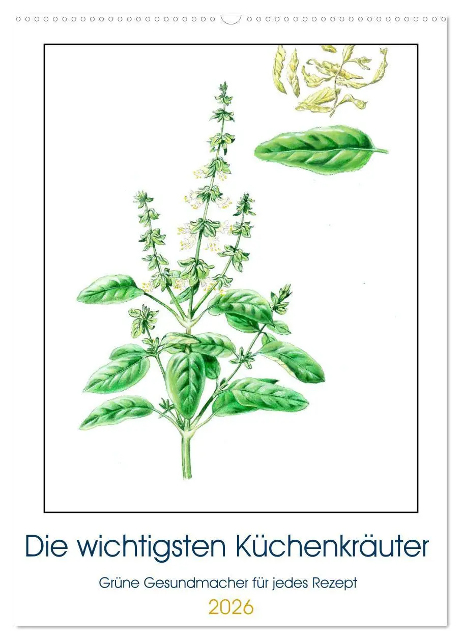 Cover: 9783516362893 | Die wichtigsten Küchenkräuter (Wandkalender 2026 DIN A2 hoch),...