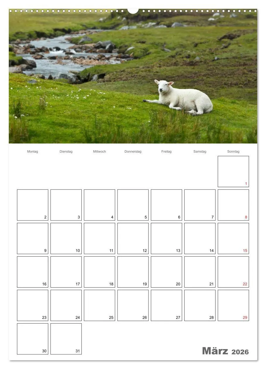 Bild: 9783516432893 | Schottland für Naturliebhaber (hochwertiger Premium Wandkalender...