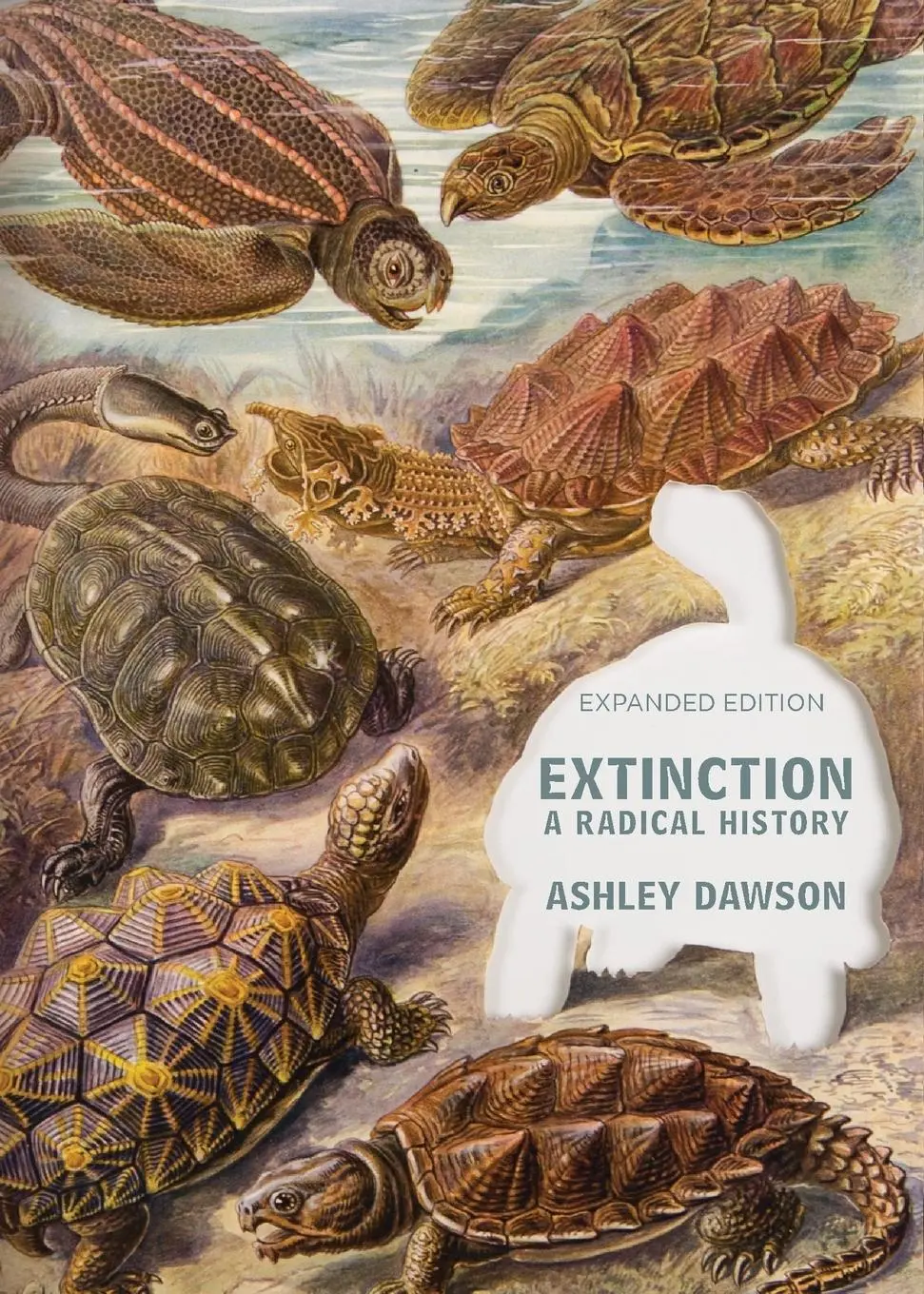 Cover: 9781682192993 | Extinction | A Radical History | Ashley Dawson | Taschenbuch | 2022