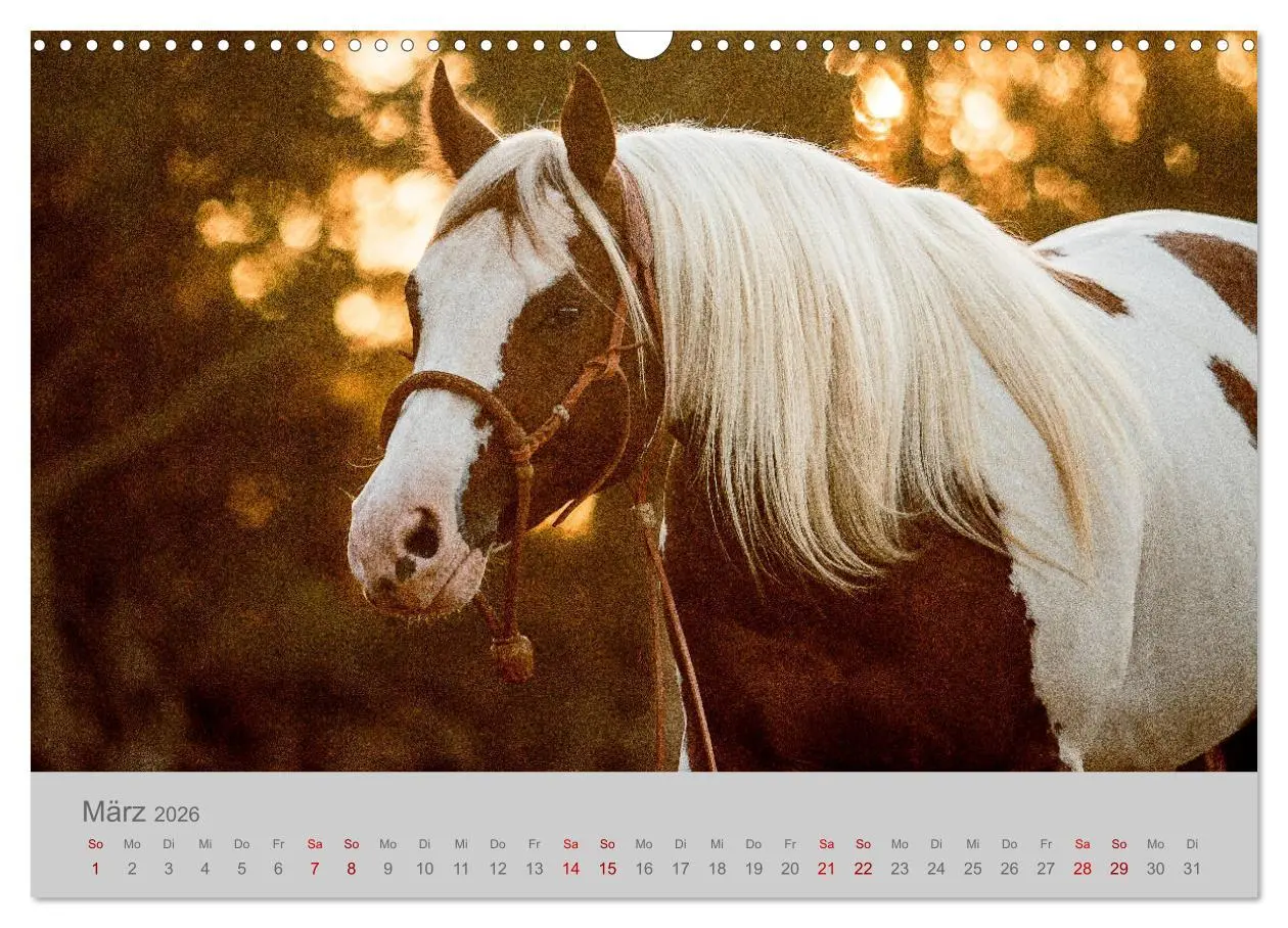Bild: 9783457882993 | Pferde - Anmut, Eleganz, Magie (Wandkalender 2026 DIN A3 quer),...