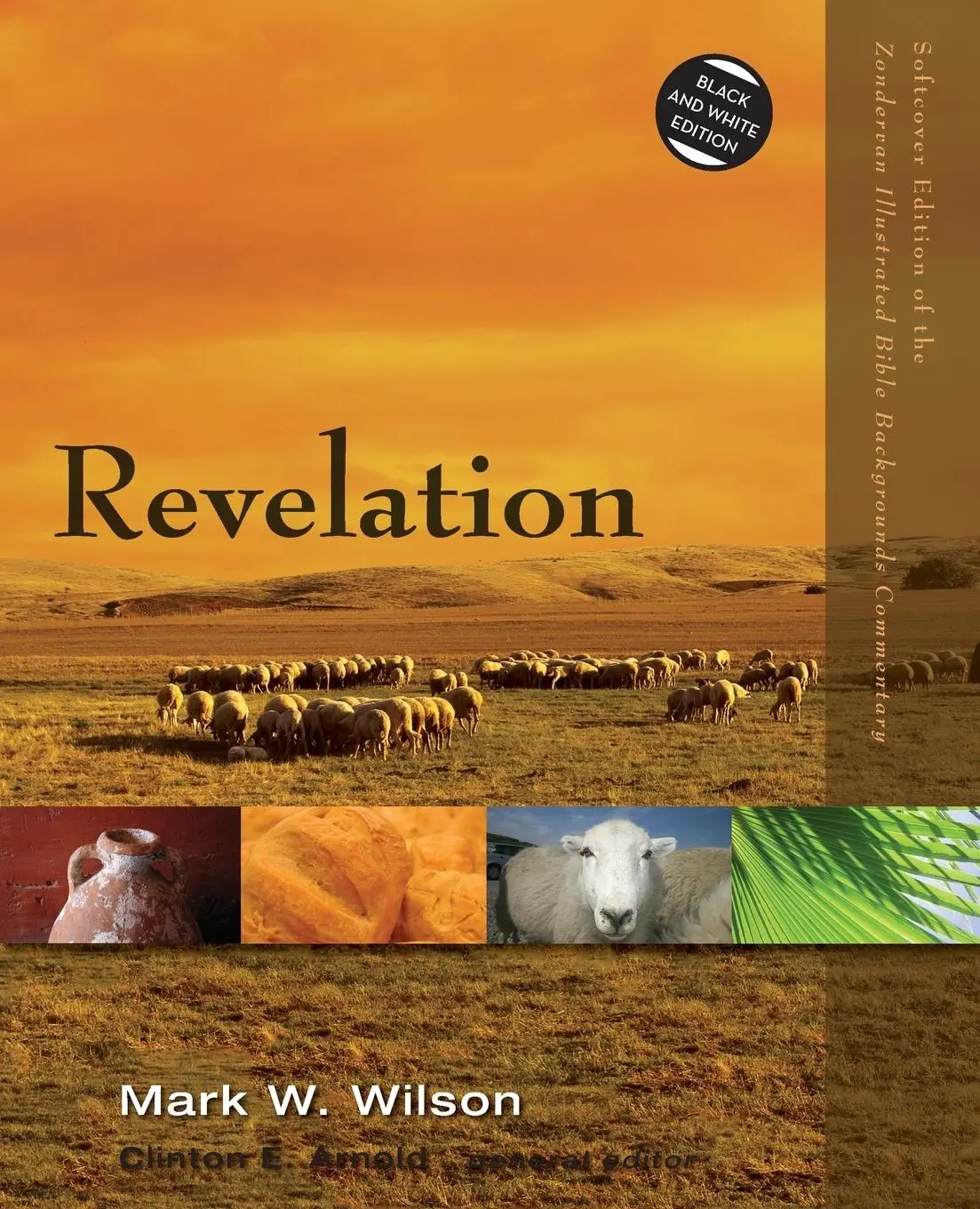Cover: 9780310523093 | Revelation | Mark W. Wilson | Taschenbuch | Kartoniert / Broschiert