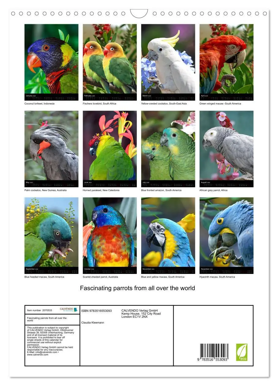 Bild: 9783516553093 | Fascinating parrots from all over the world (Wall Calendar 2026 DIN...