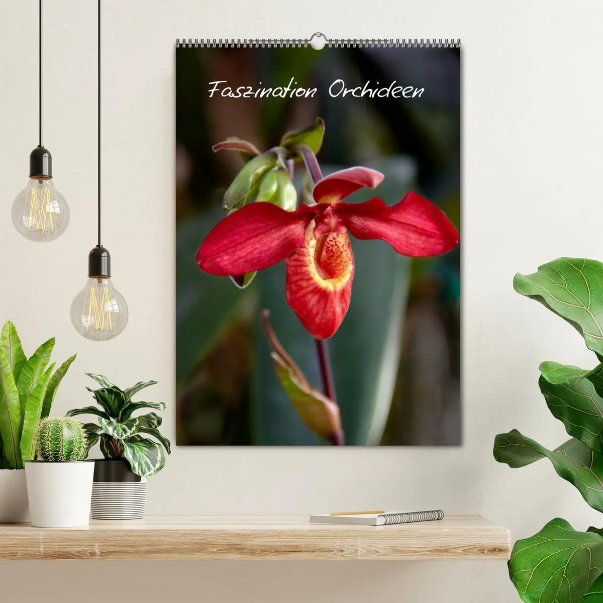 Bild: 9783594223093 | Faszination Orchideen (Wandkalender 2027 DIN A2 hoch), CALVENDO...