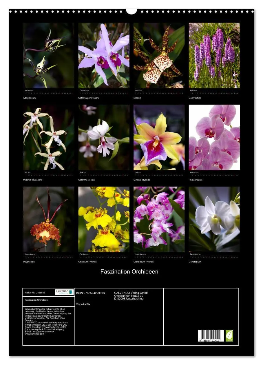 Bild: 9783594223093 | Faszination Orchideen (Wandkalender 2027 DIN A2 hoch), CALVENDO...