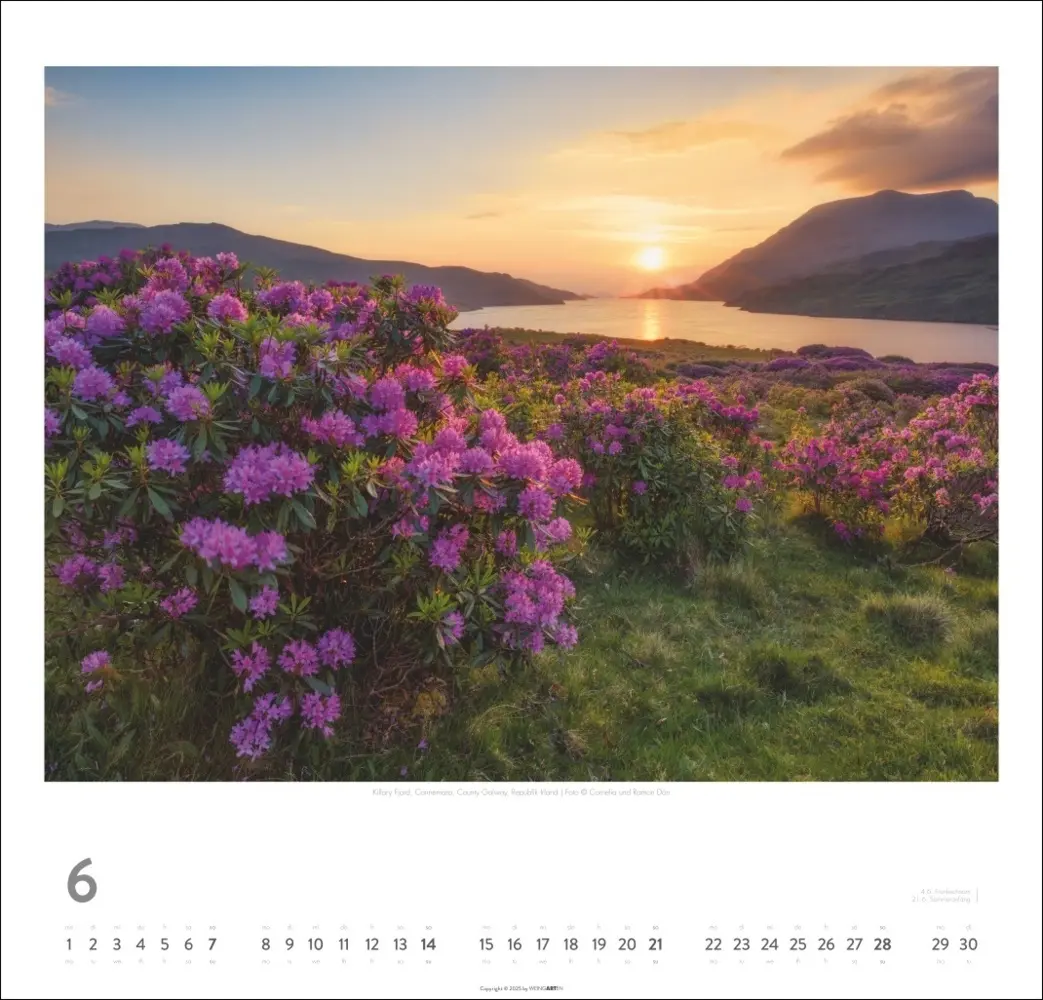 Bild: 9783839903193 | Irland Kalender 2026 - Die grüne Insel | Cornelia Dörr (u. a.) | 2026