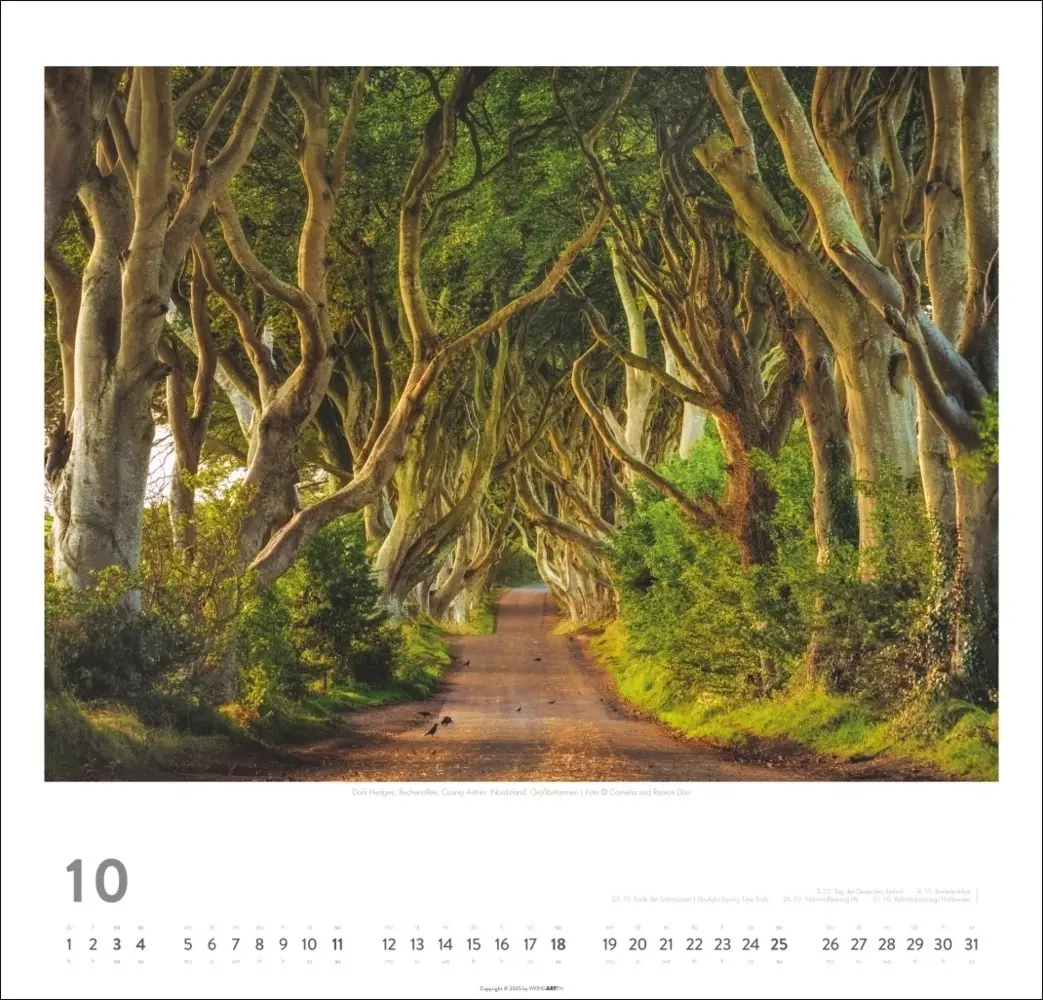 Bild: 9783839903193 | Irland Kalender 2026 - Die grüne Insel | Cornelia Dörr (u. a.) | 2026