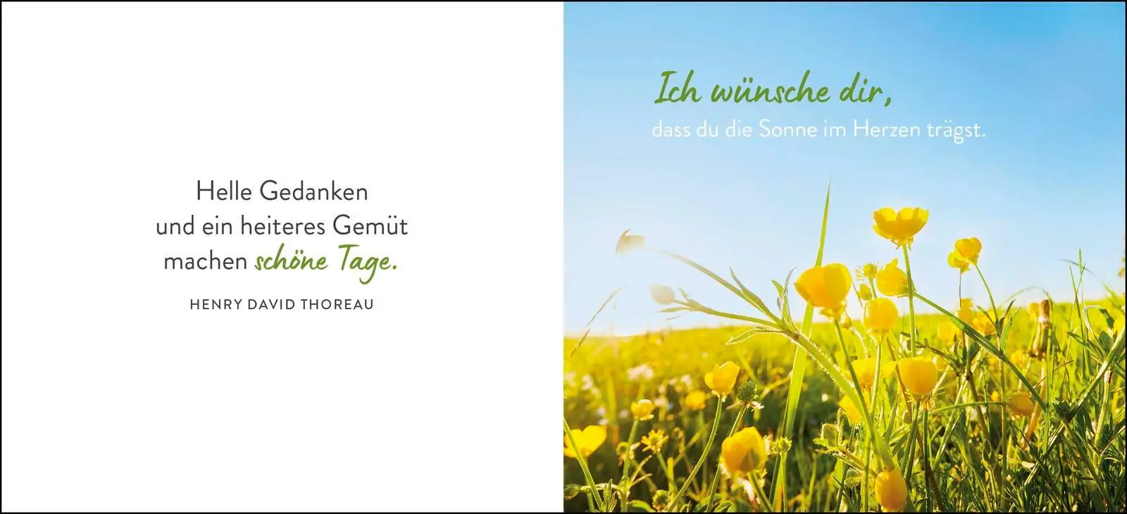 Bild: 9783848503193 | Was ich dir wünsche zum Geburtstag | Groh Verlag | Buch | 48 S. | 2025